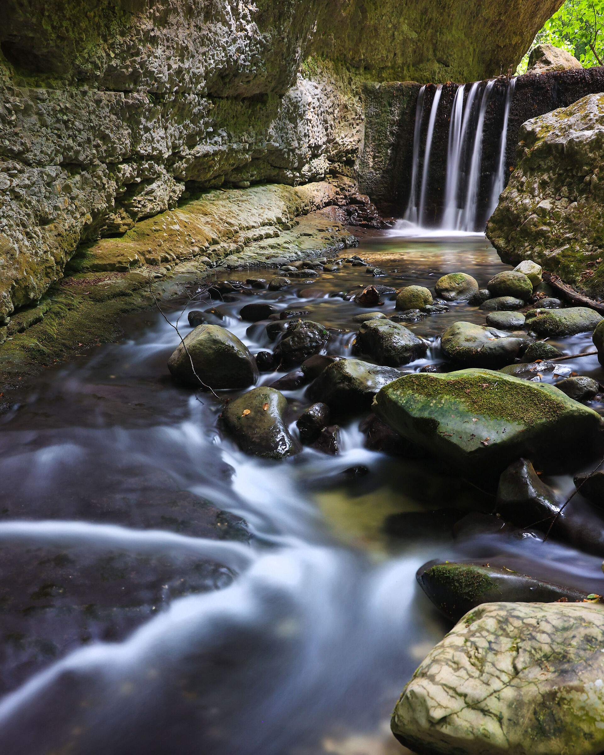 Chiare, fresche e dolci acque