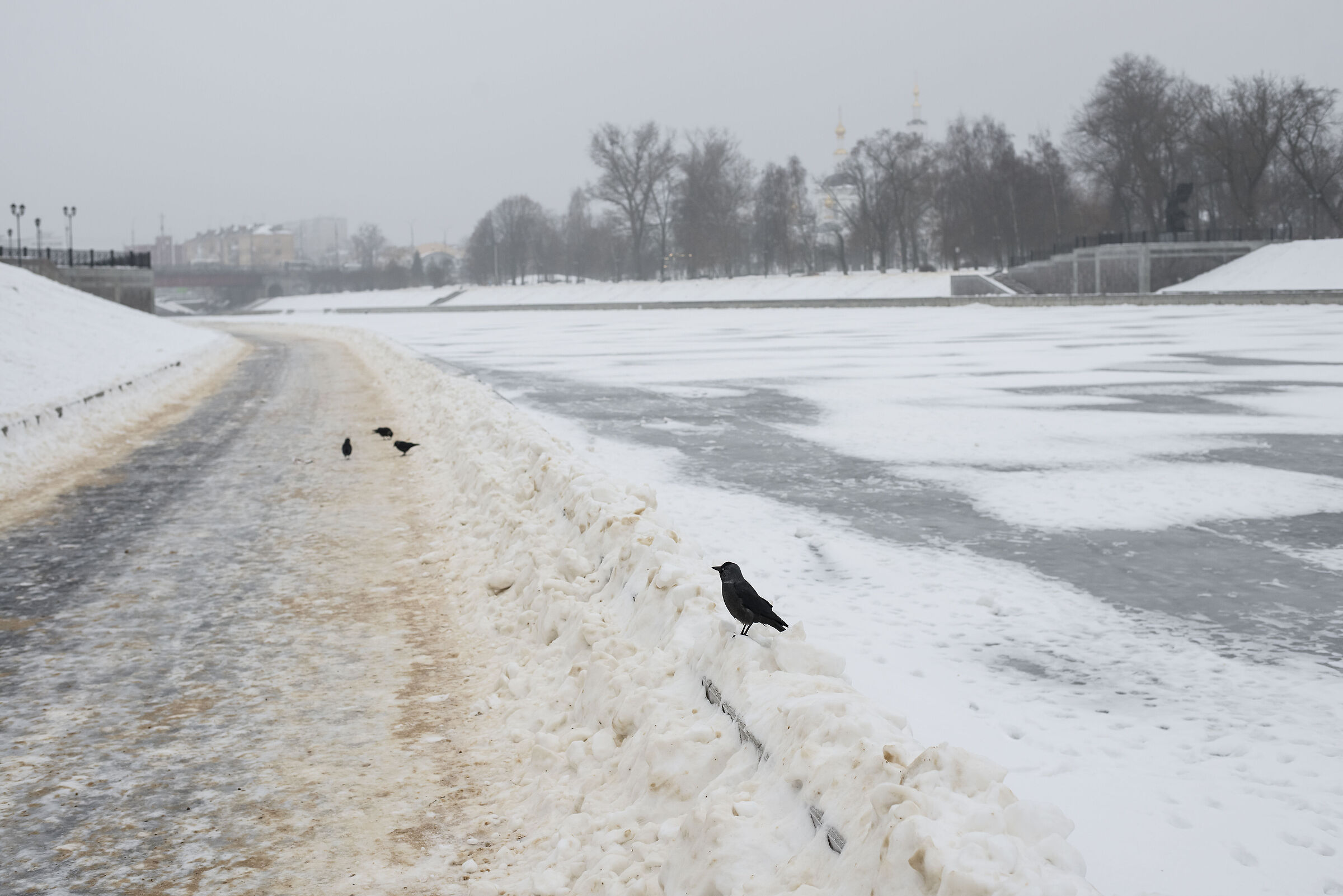 Protection of the Winter embankment