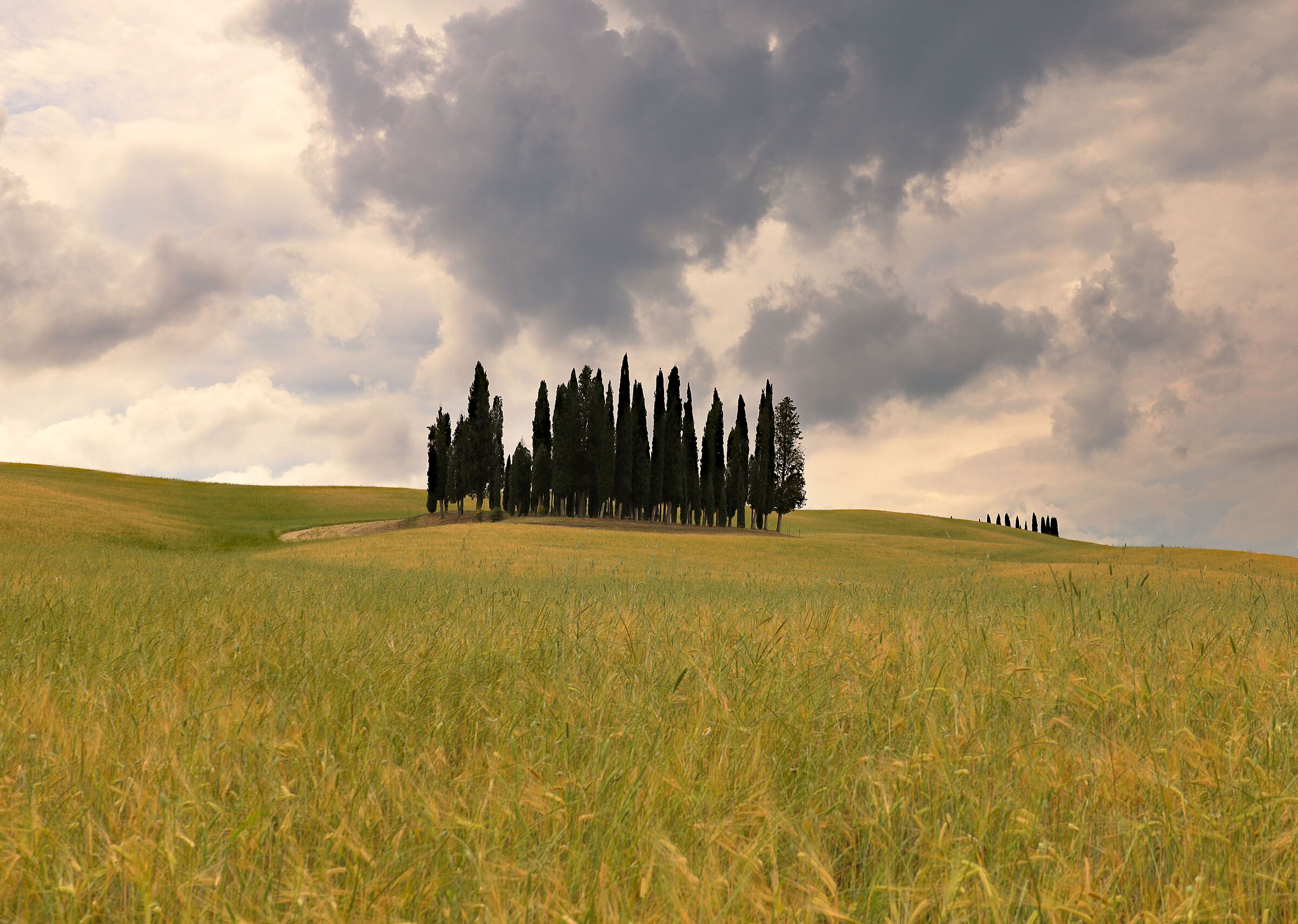 A classic of the Val d'Orcia
