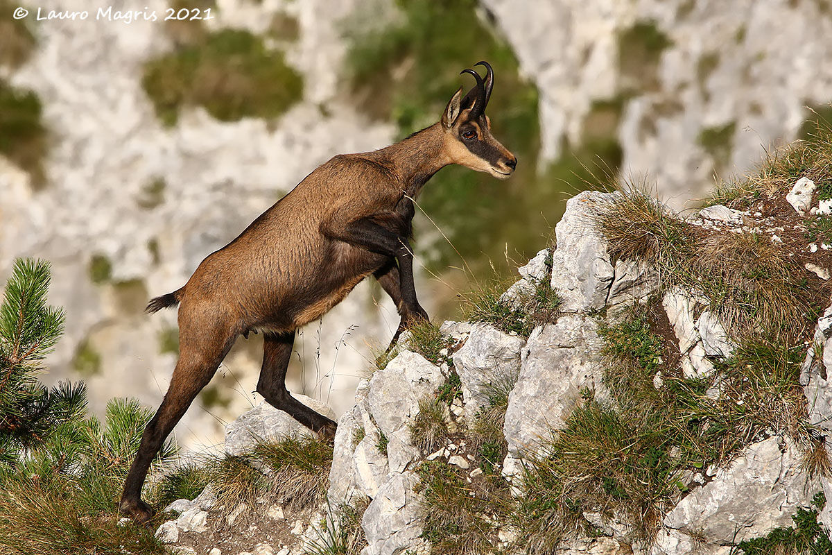 Plastic installation