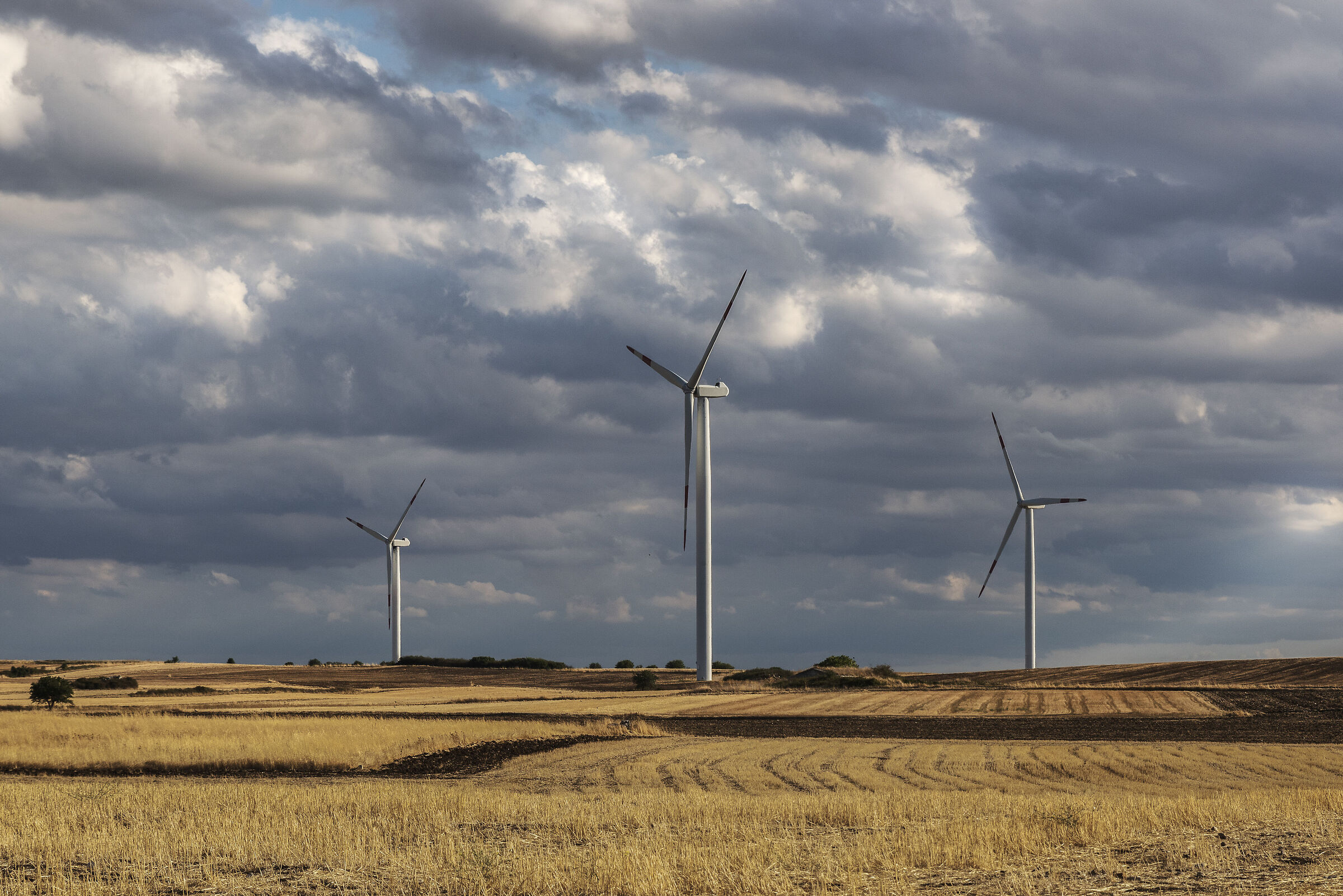 Il Green Pass della Natura