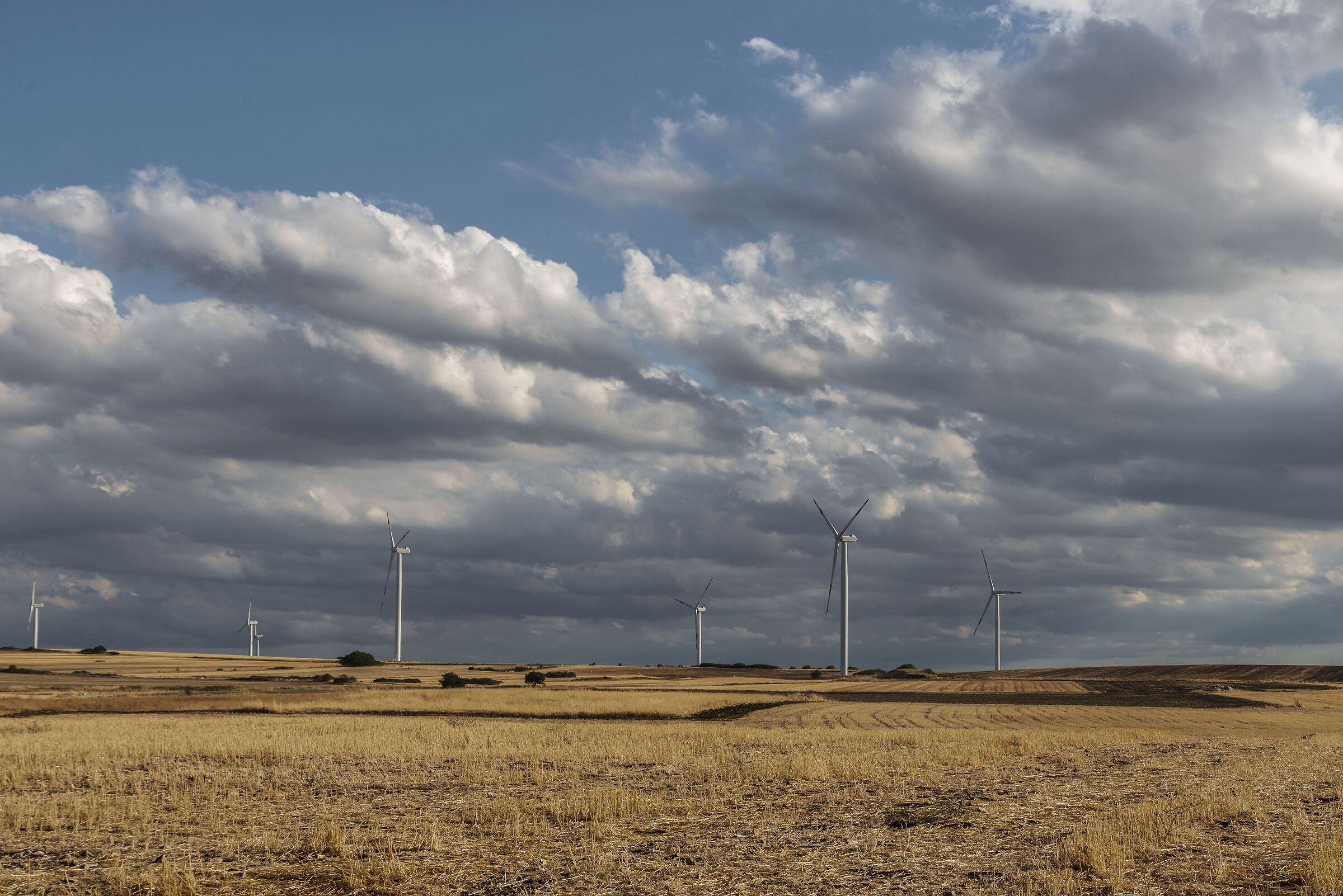 Pronti a raccogliere il minimo soffio