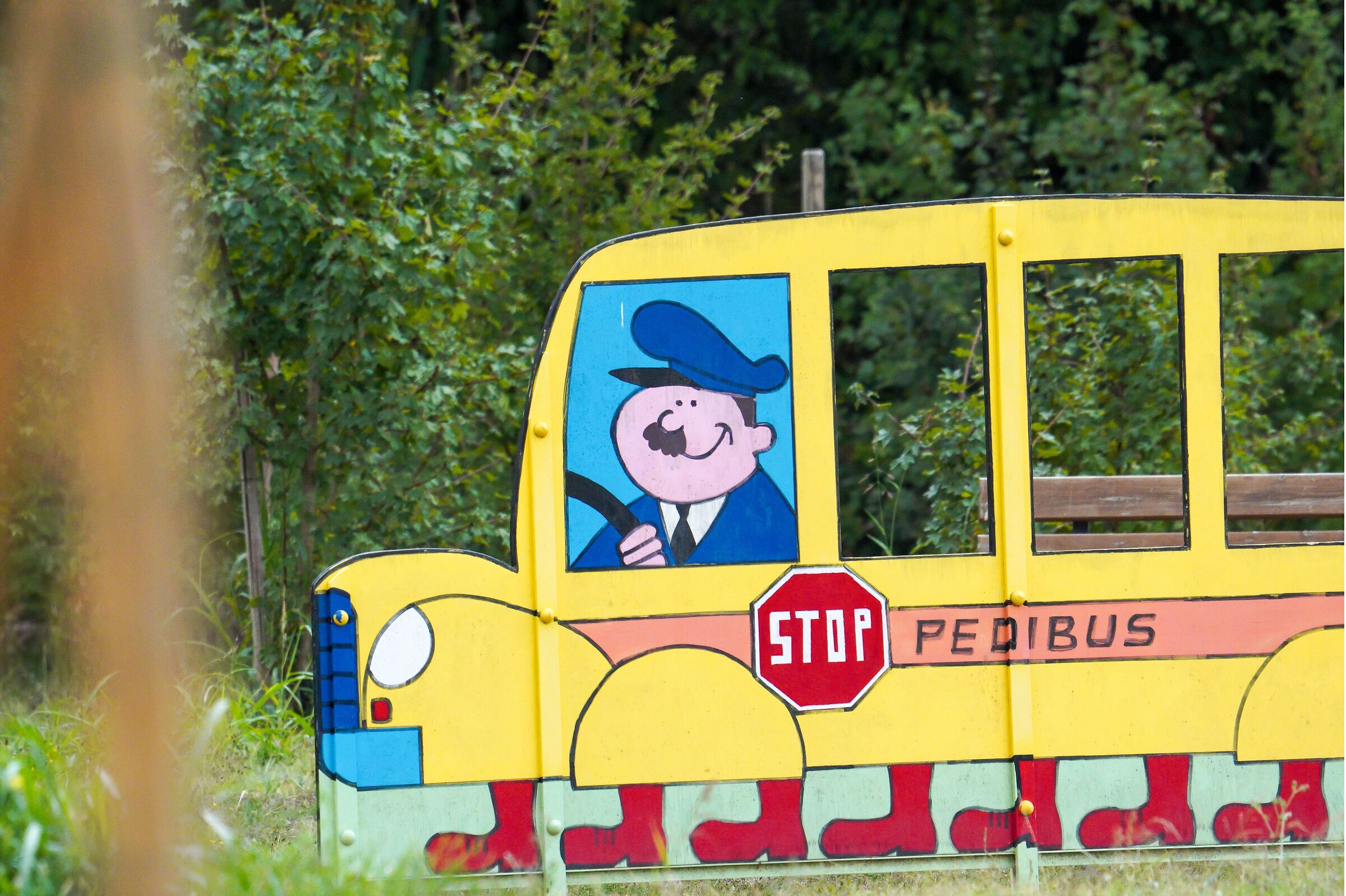 pedibus a6600 con 200-600 liscio