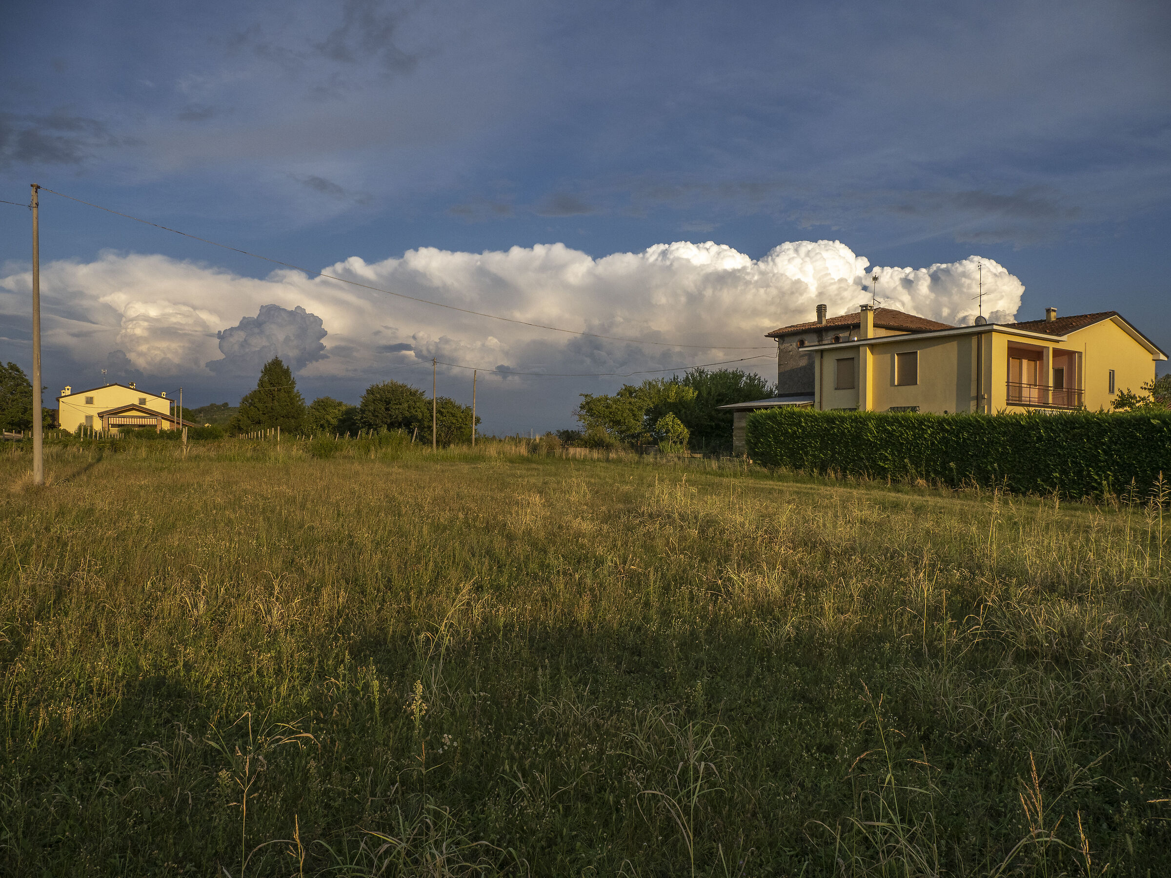 Terra incolta