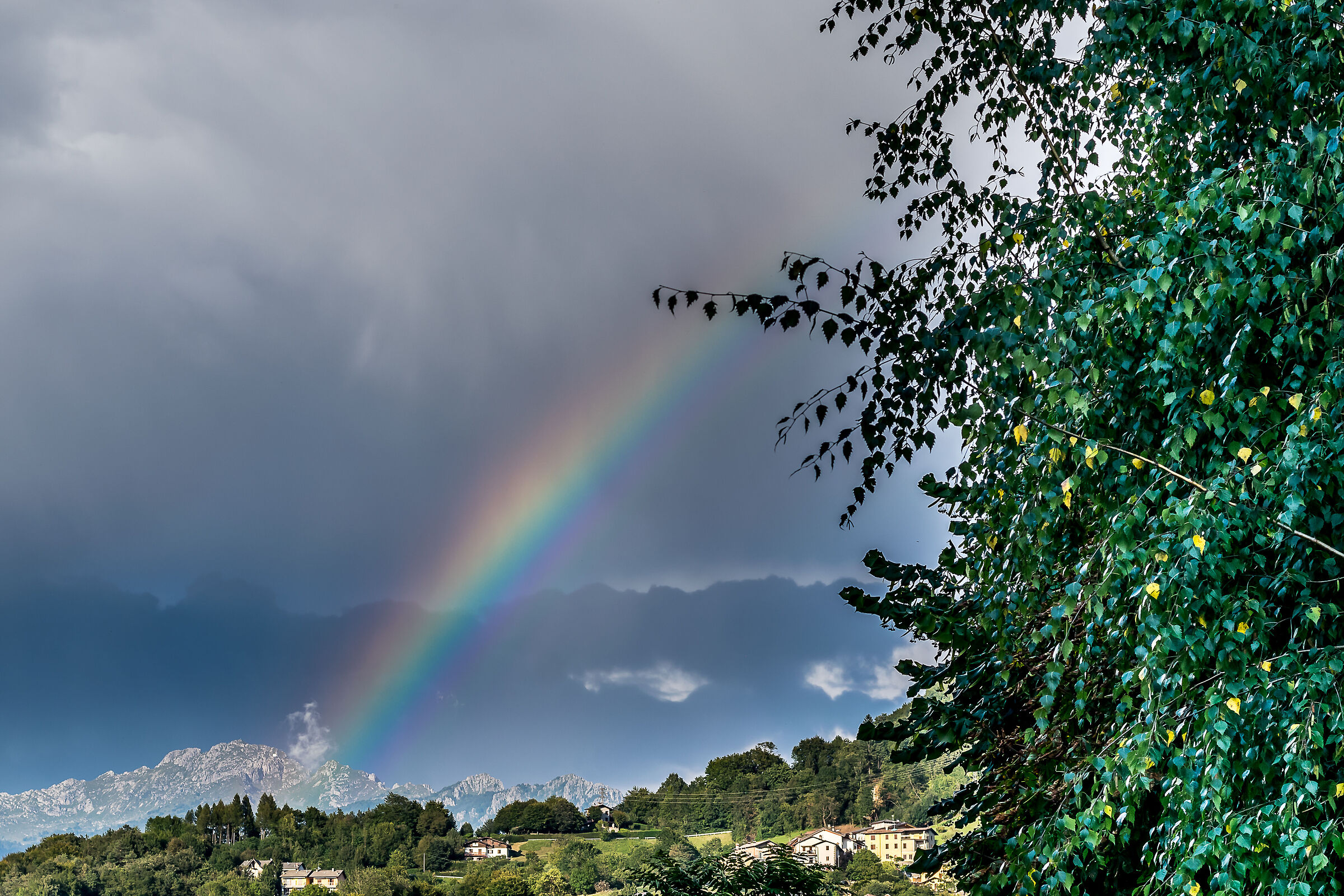 Rainbow