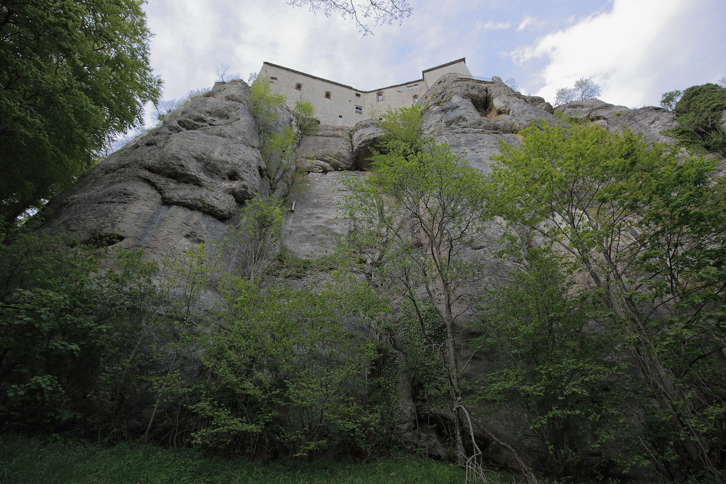 Sotto la grande Scogliera delle Stimmate della Verna