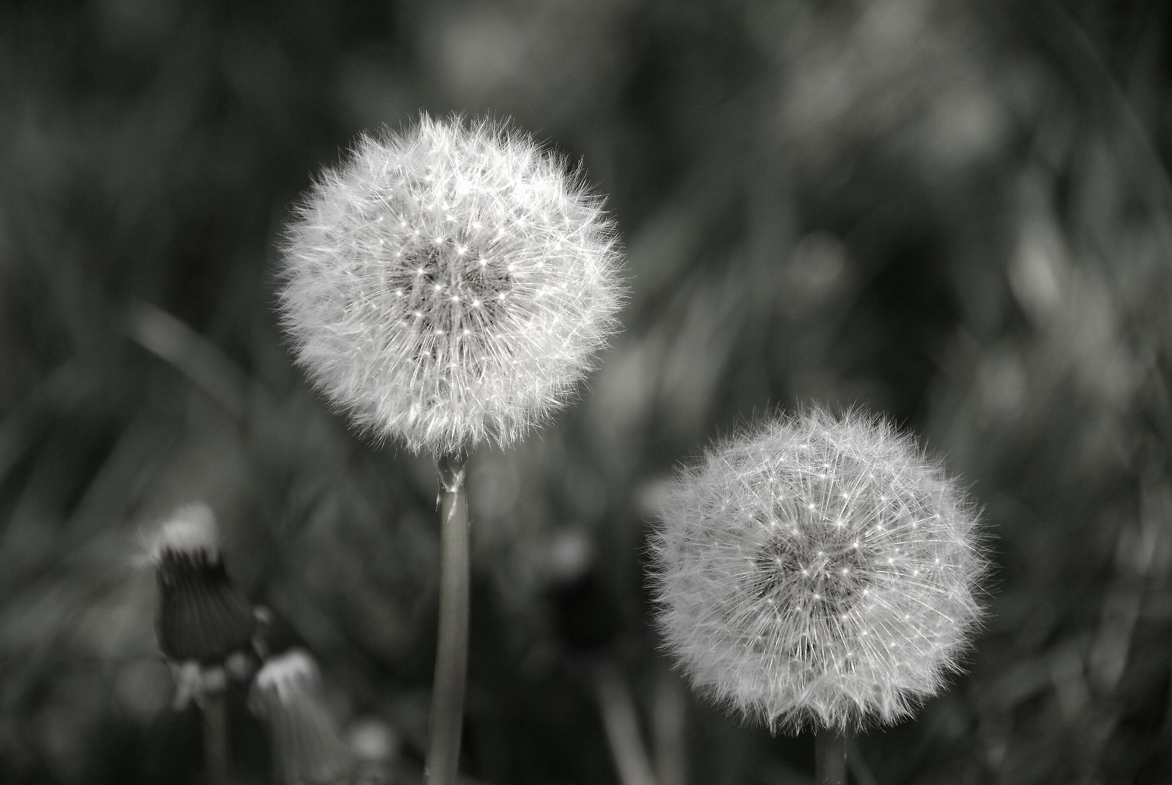 L'insostenibile leggerezza dell'essere