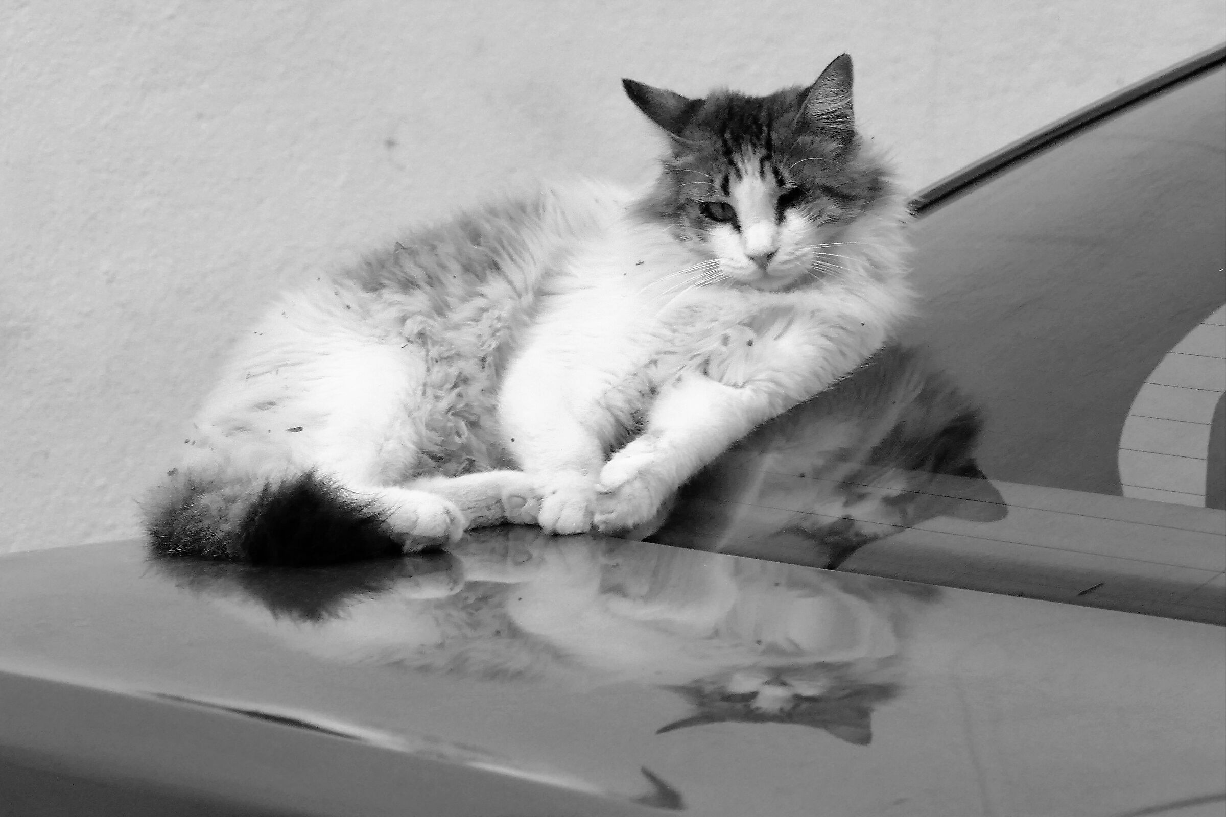 Untitled Photo