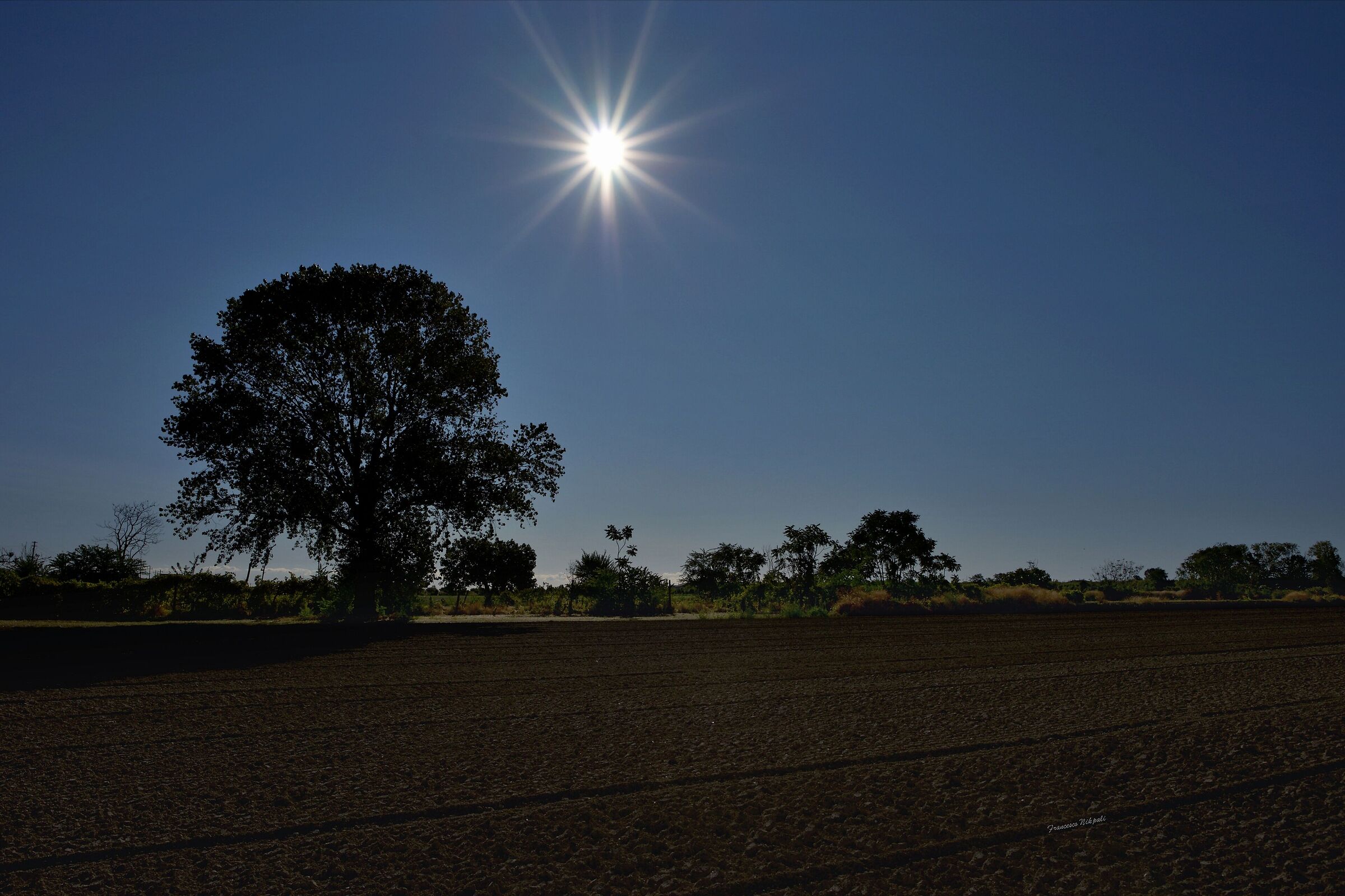 Among the fields of the Sentina