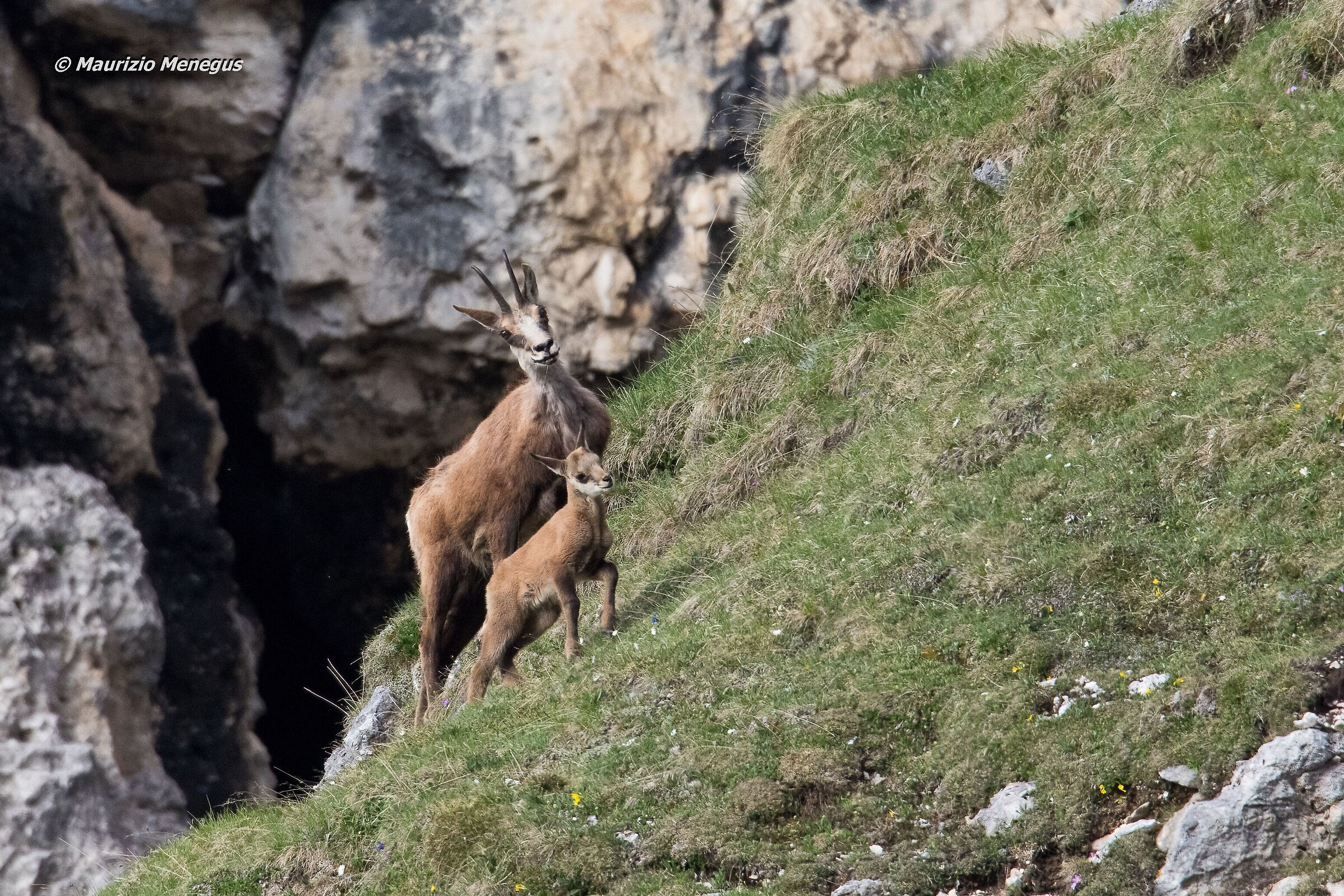 Madre e piccolo a giugno