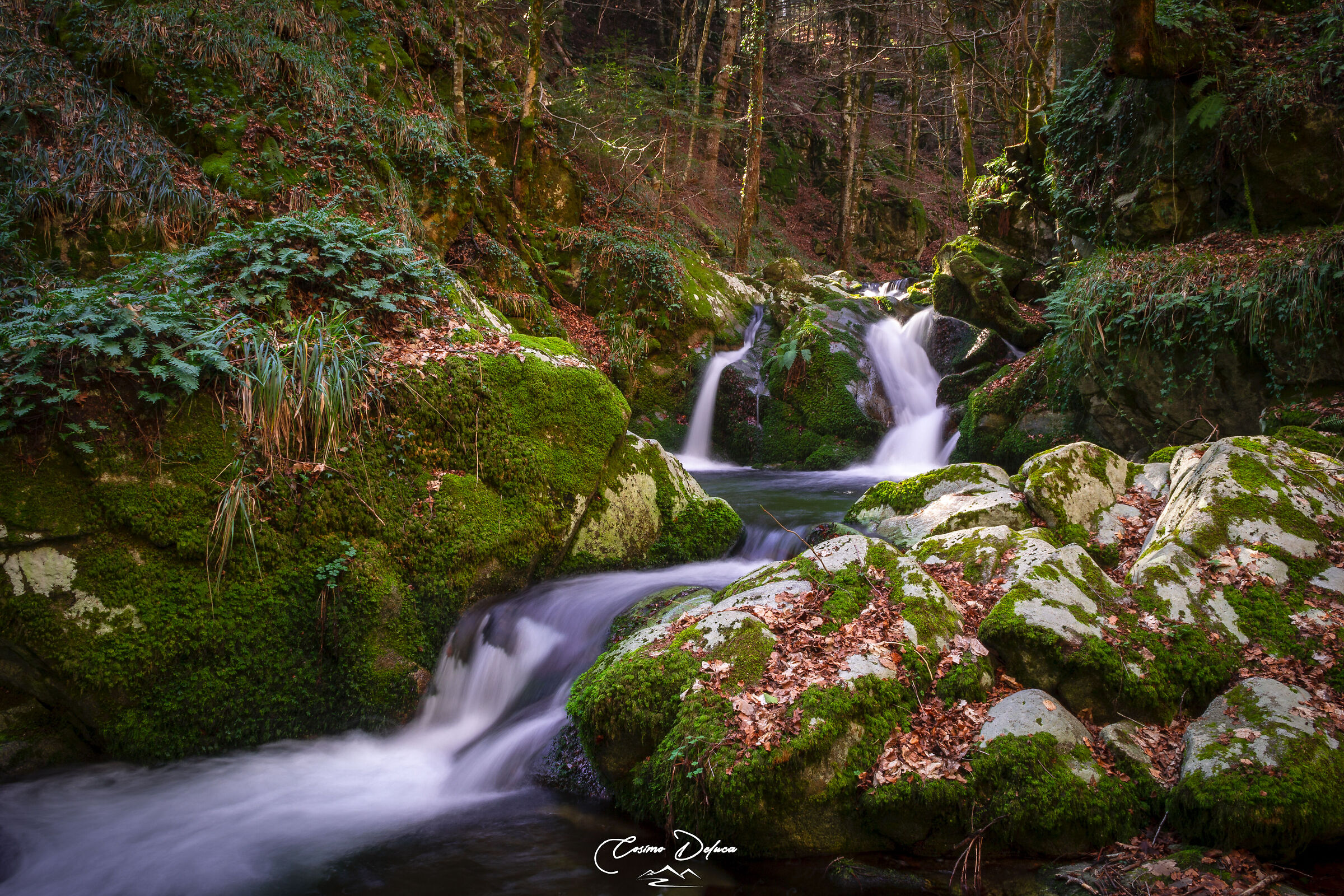 Waterfalls in the woods