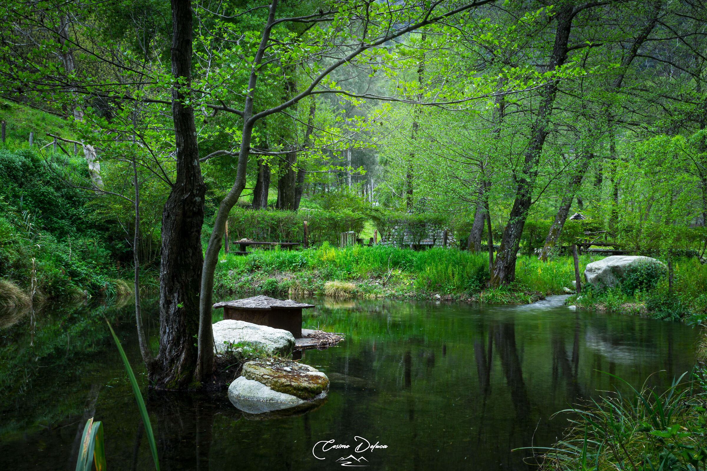 Nicholas Green River Park