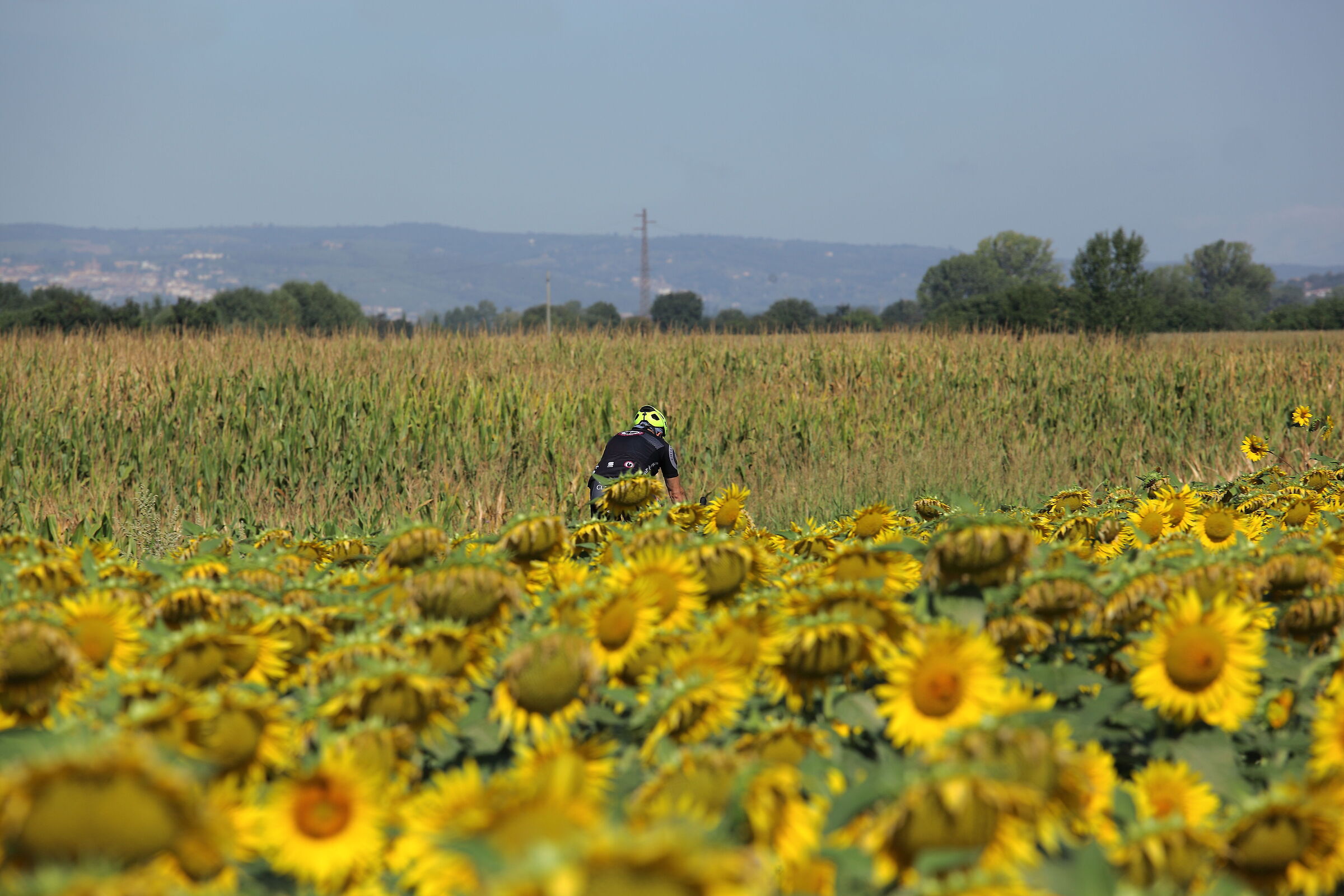 The passage of the "Black Rooster" in the "Noble" land