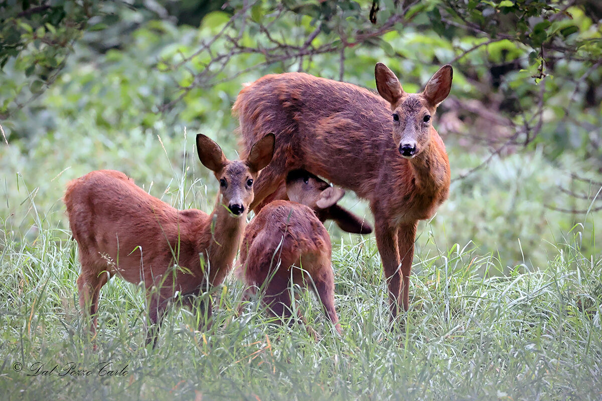 Below who touches...