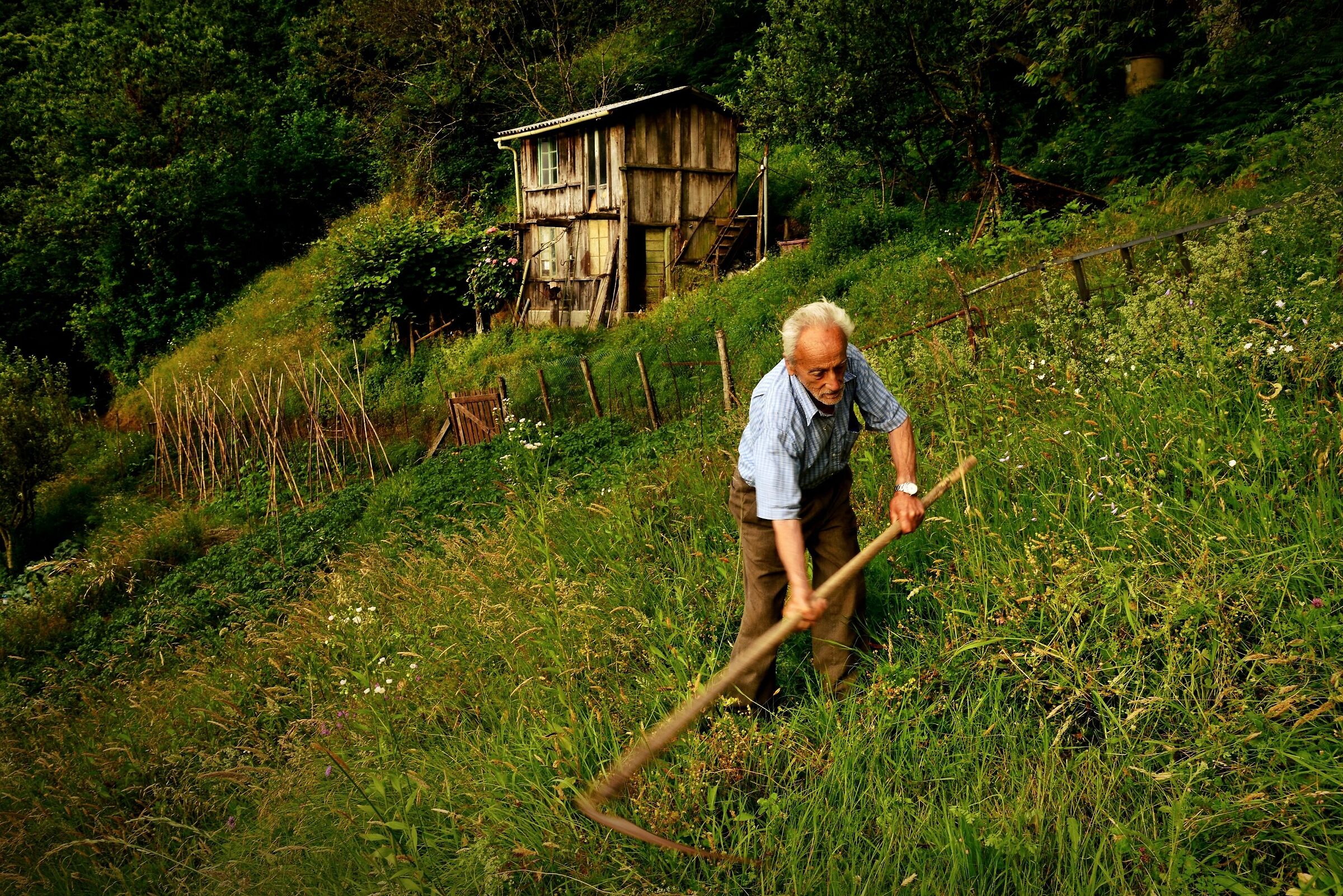 il Taglio del Passato