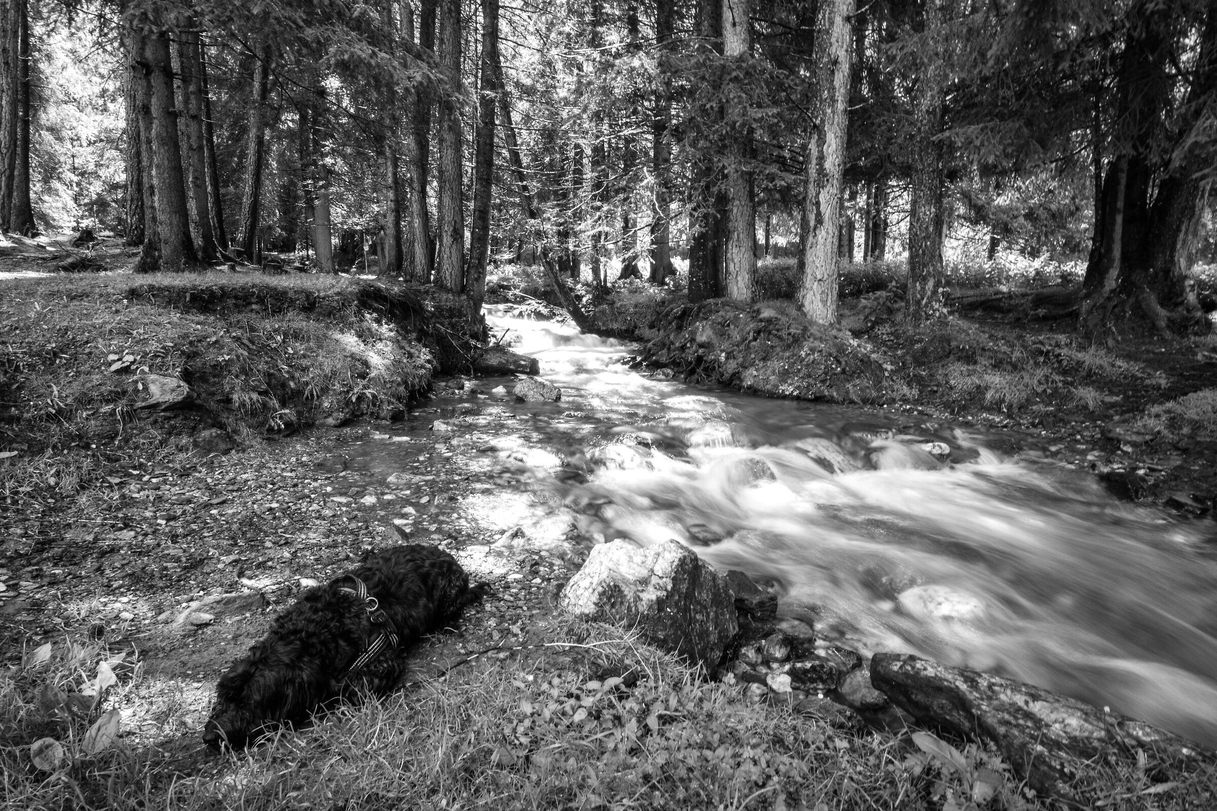 Stream and waterfall Val di Vizze