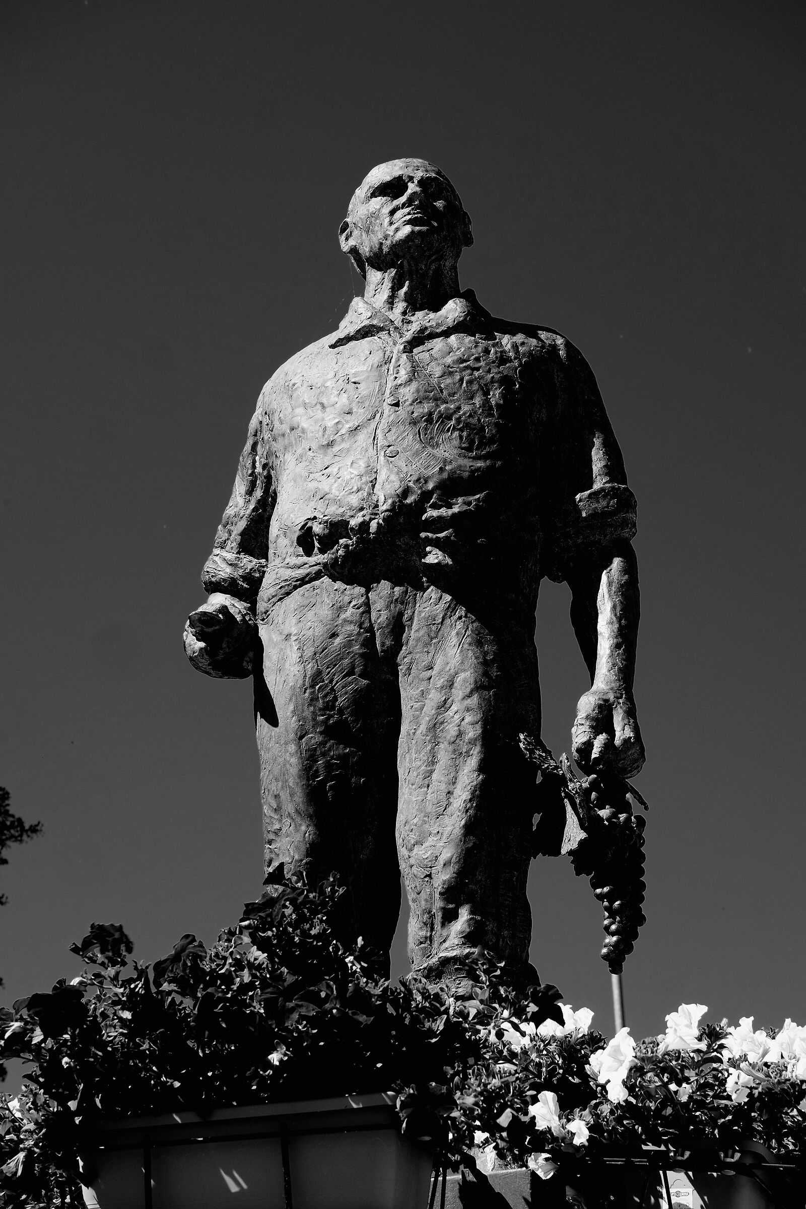 The pride of the winemaker