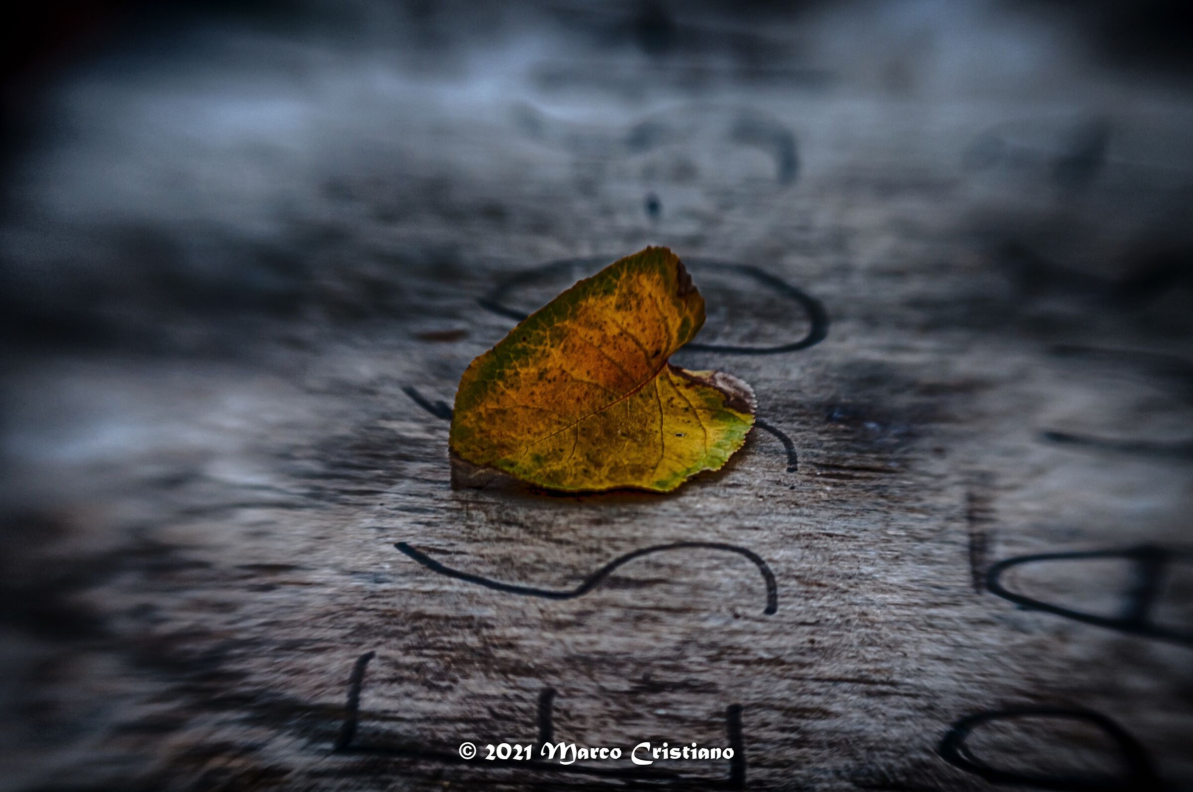 Autumn..