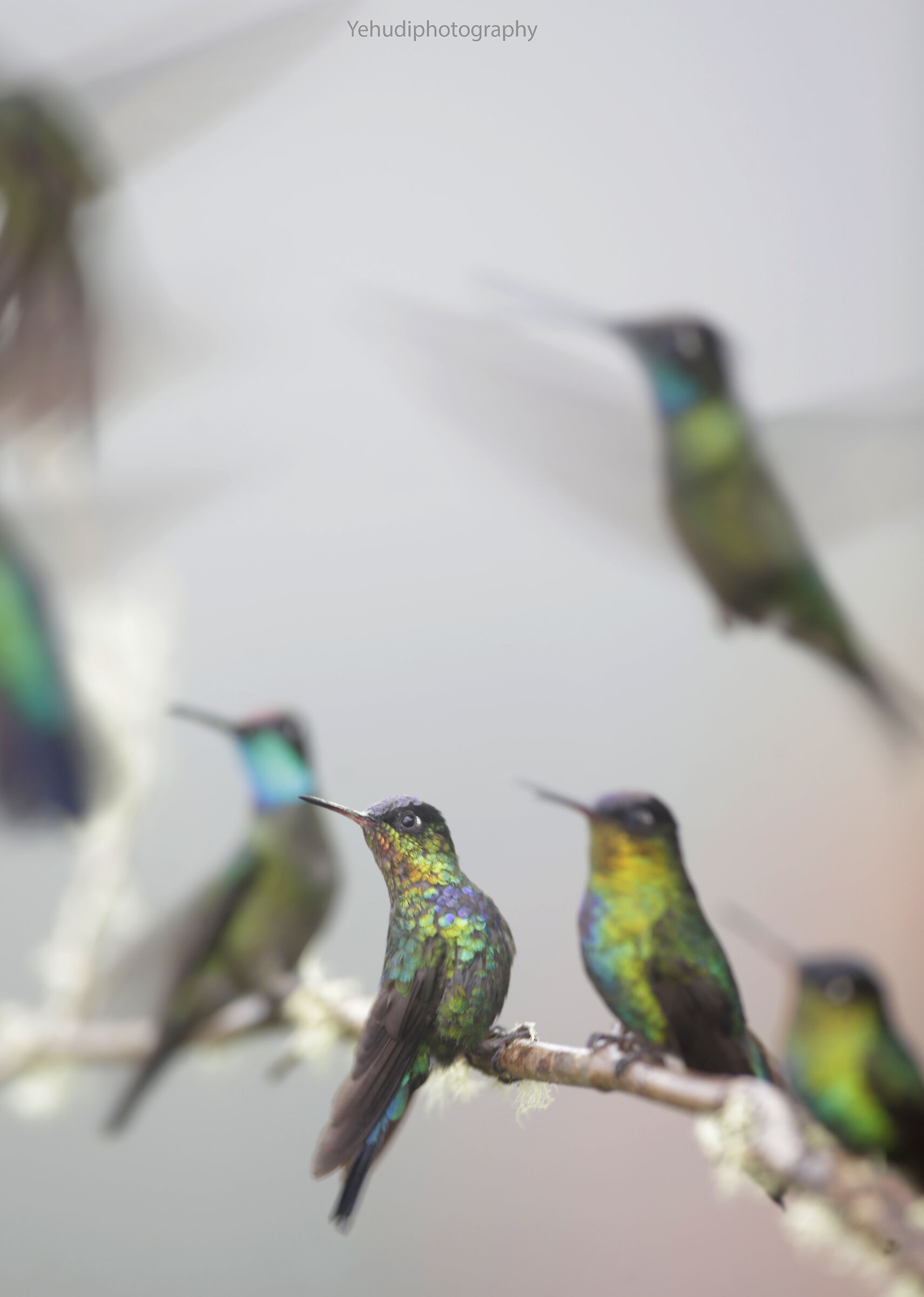 Guardiamo in questo modo