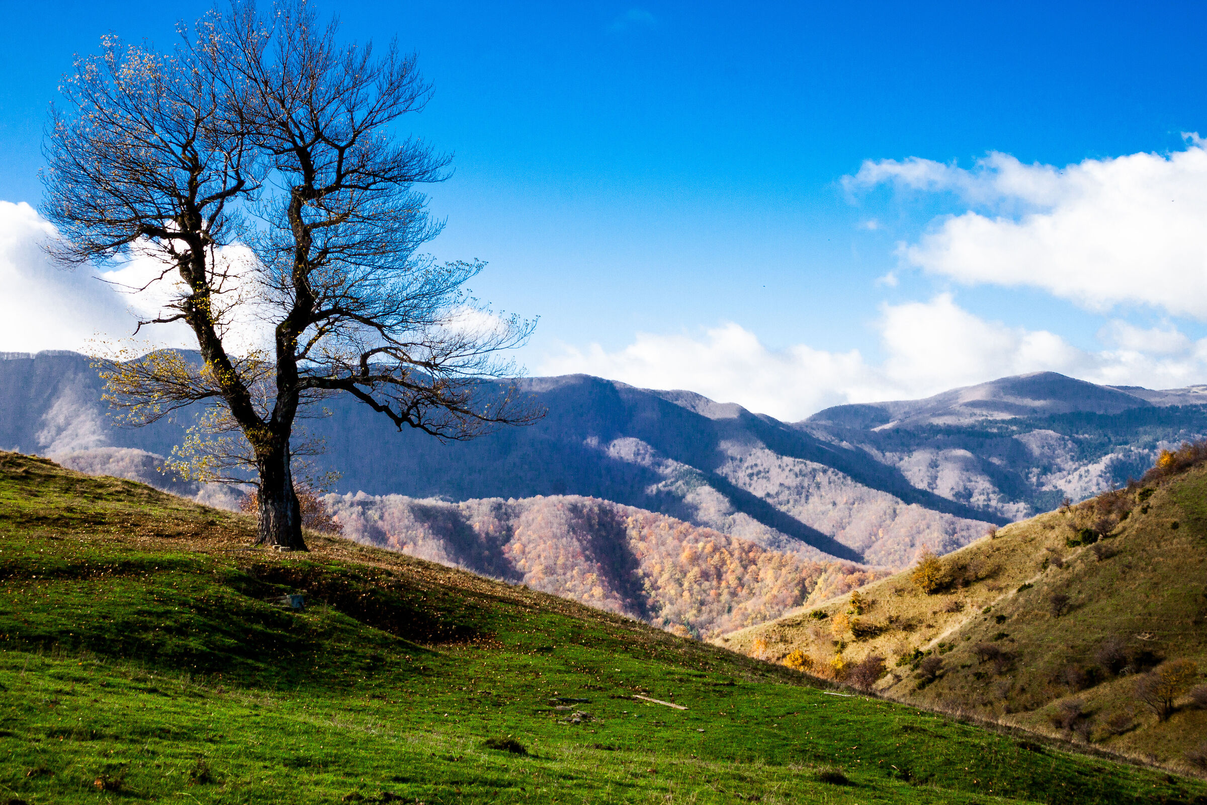 San Benedetto in Alpe - Foreste Casentinesi
