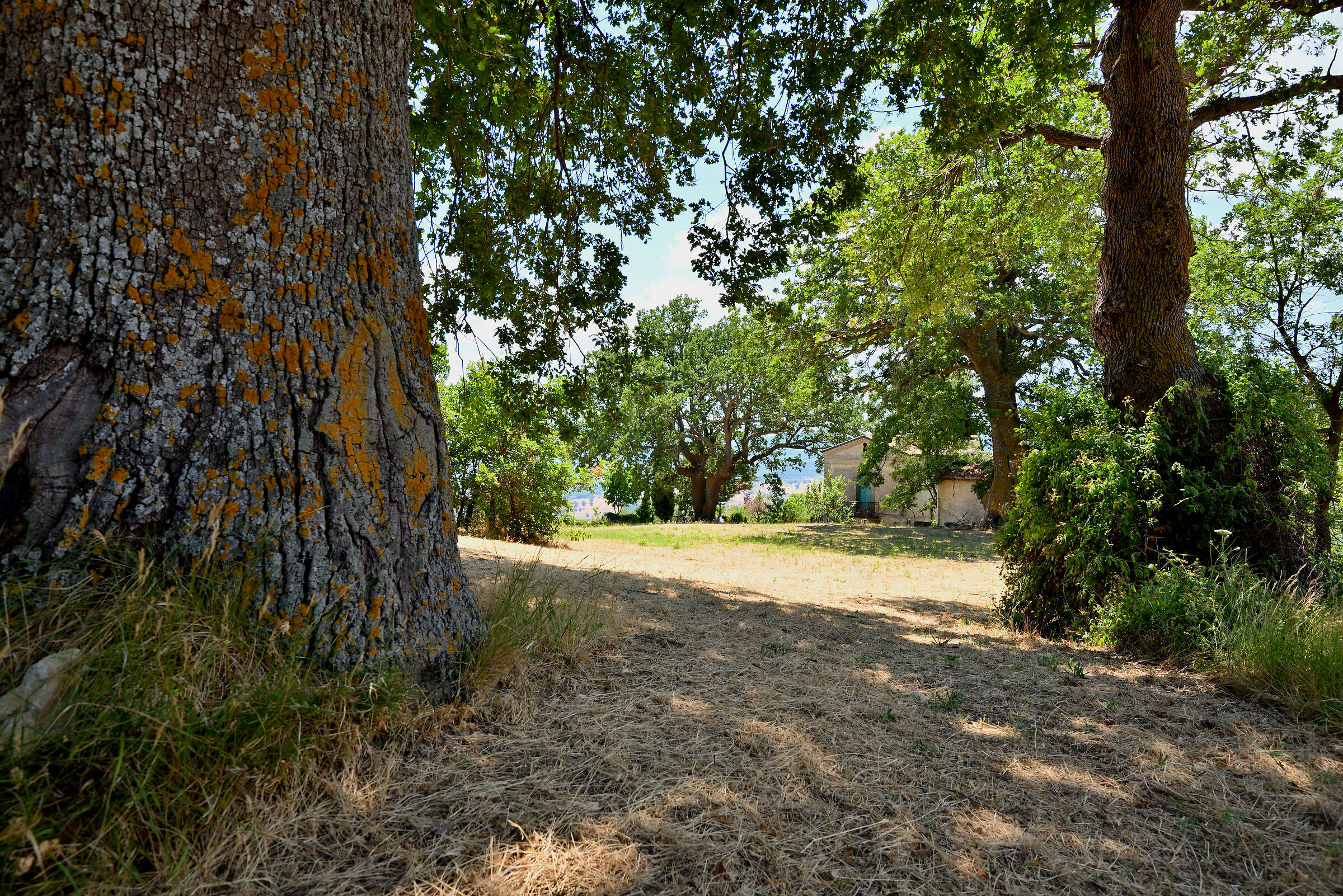 Among the good giants