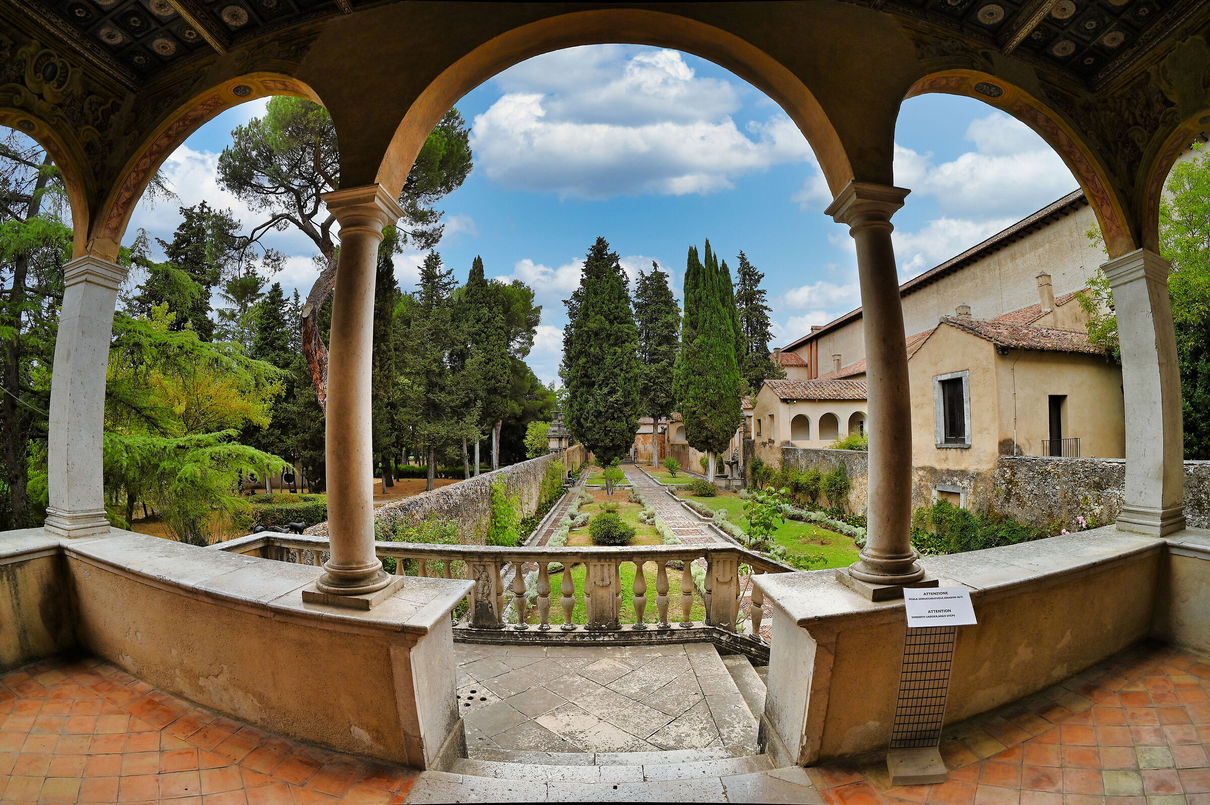 A look at the garden