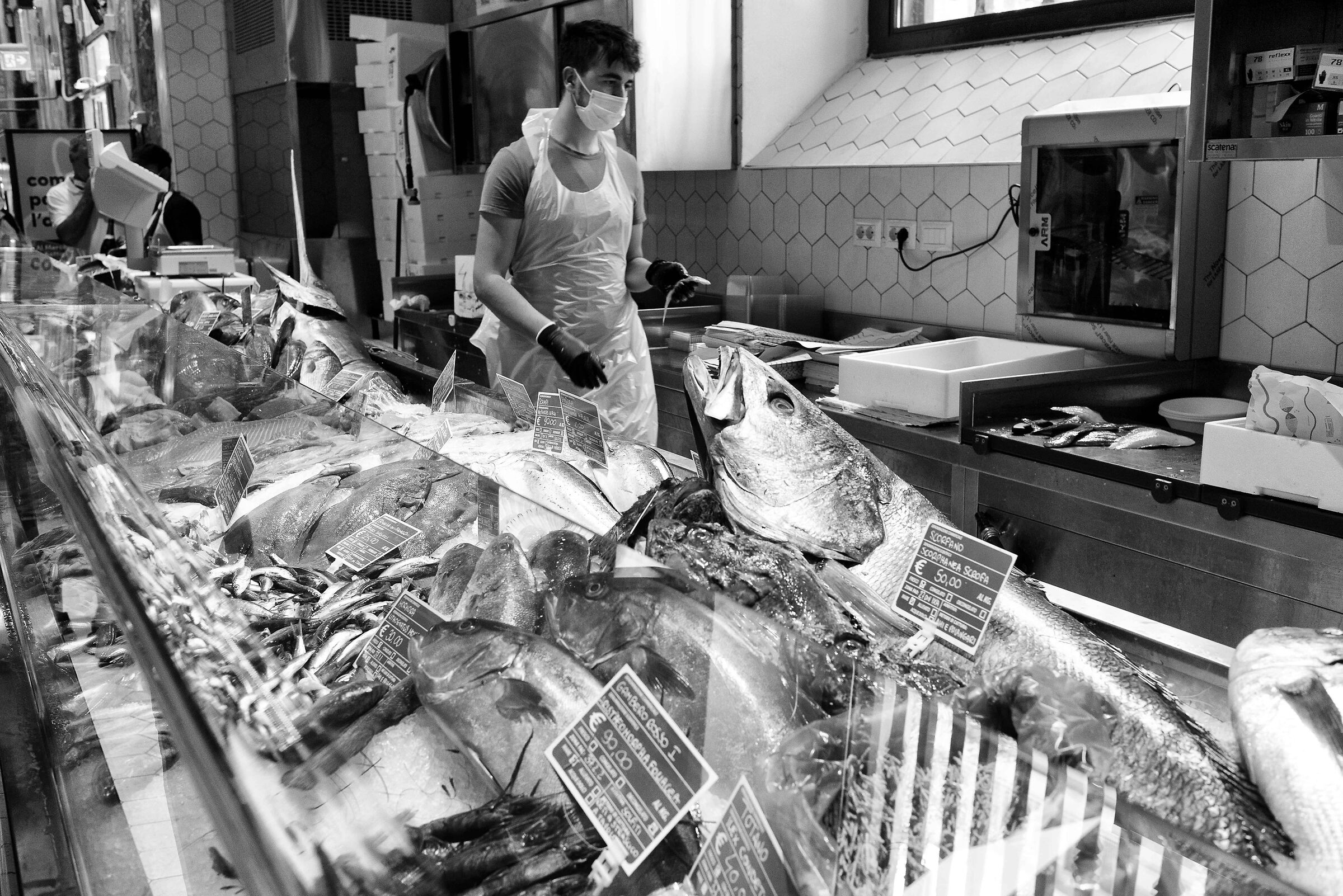 fish market Milano Centrale
