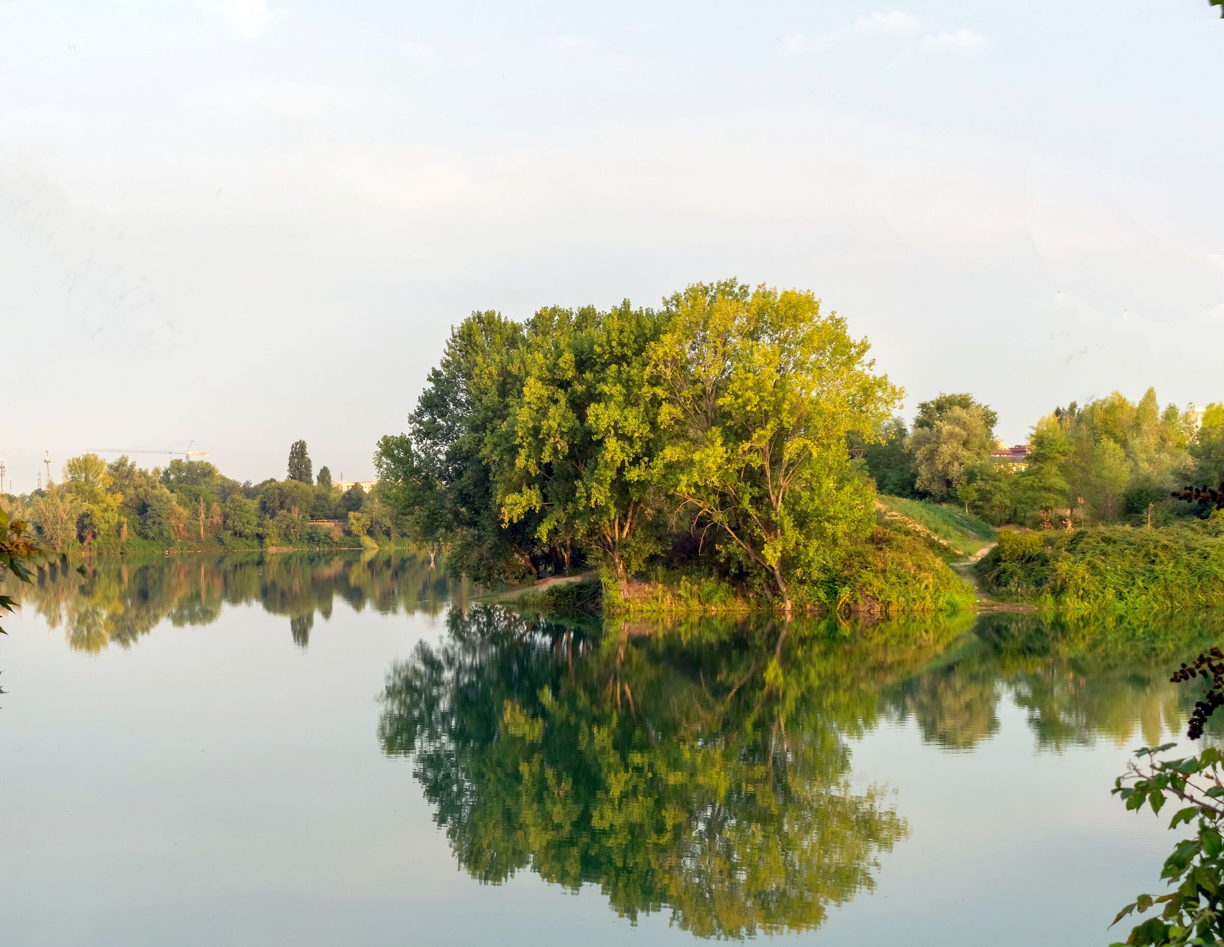 Riflessi