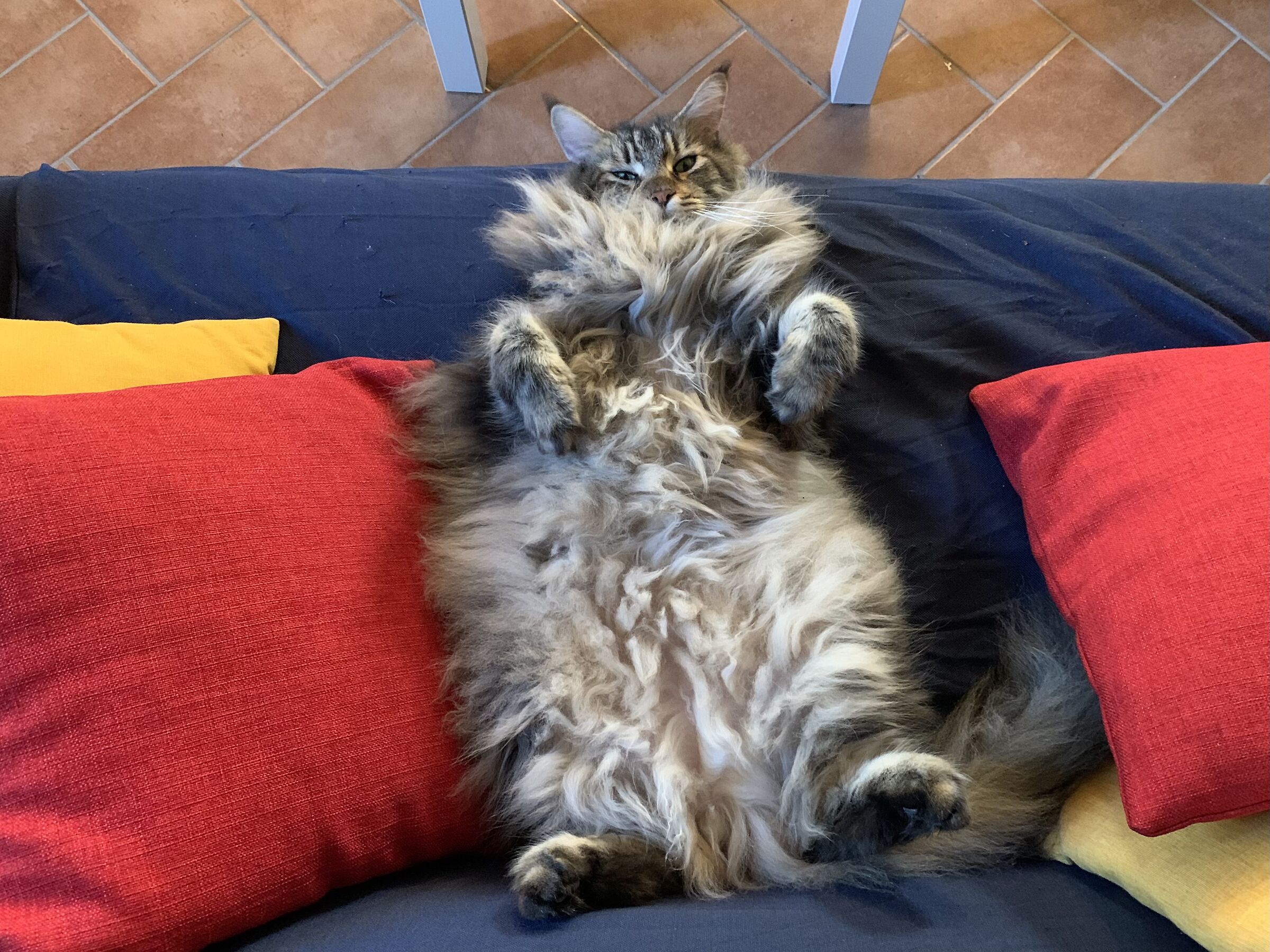 Il Pascia'