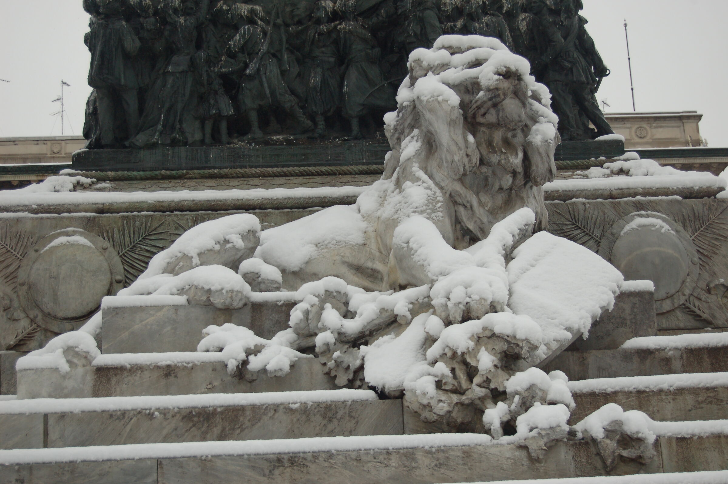 Lion... of the snows