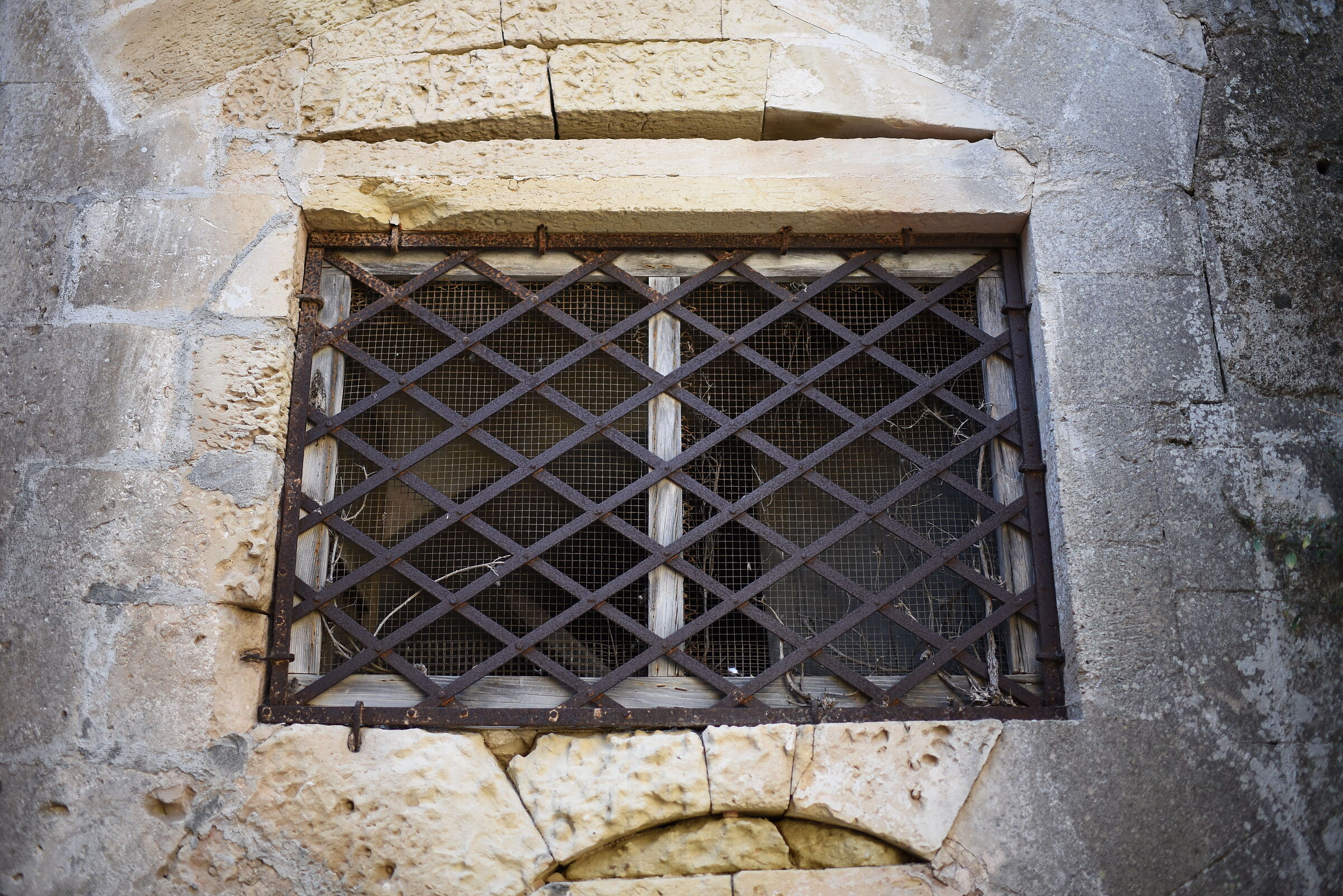Nikon 750 / Zeiss Otus 28, 1.4