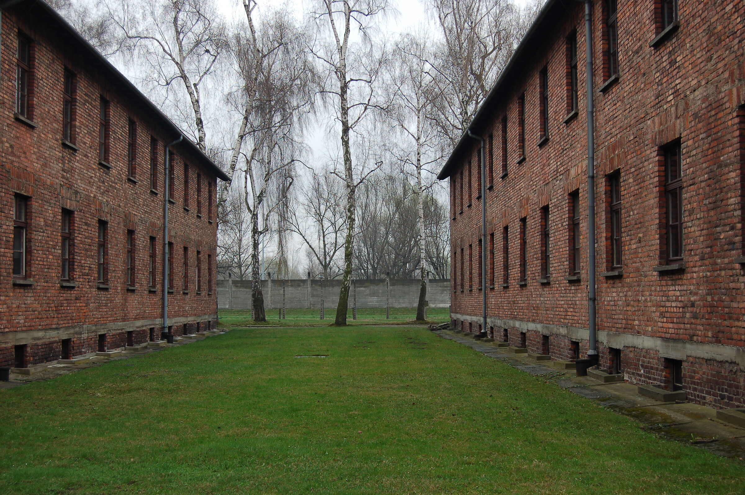 Oswiecim 2