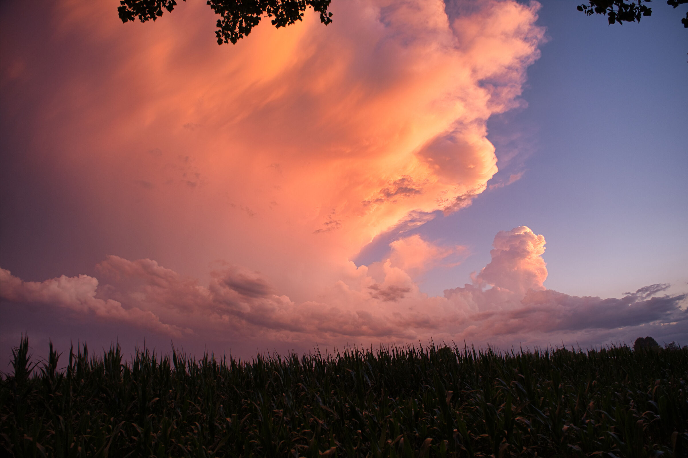 Clouds