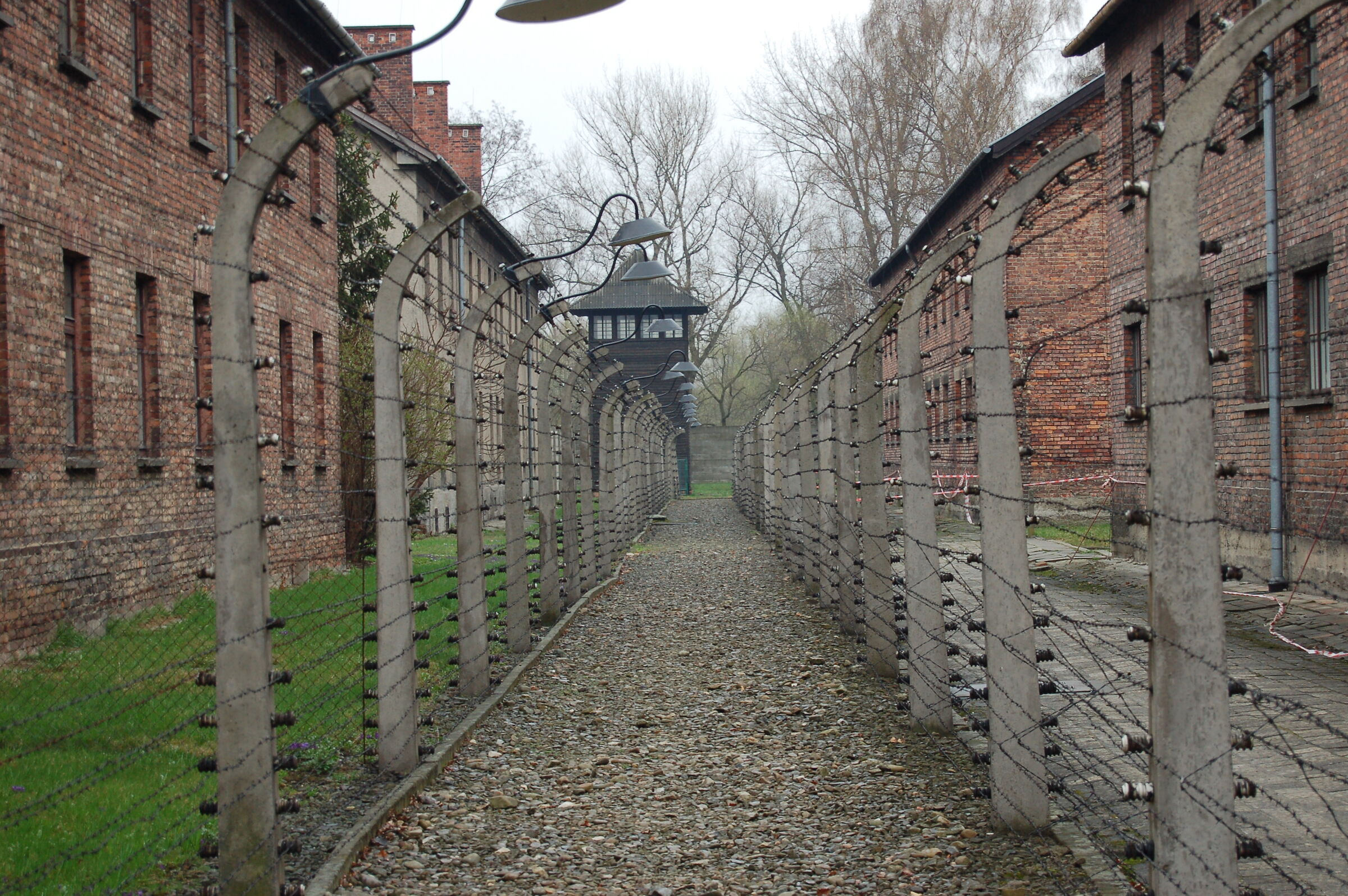 Barbed wire