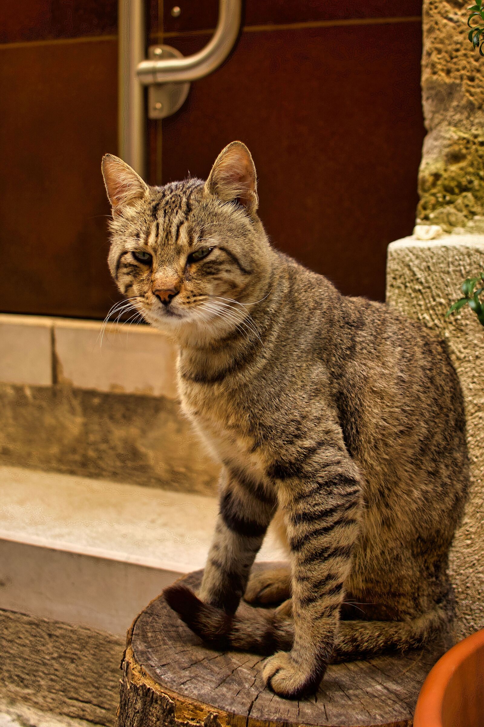 What do you have to watch