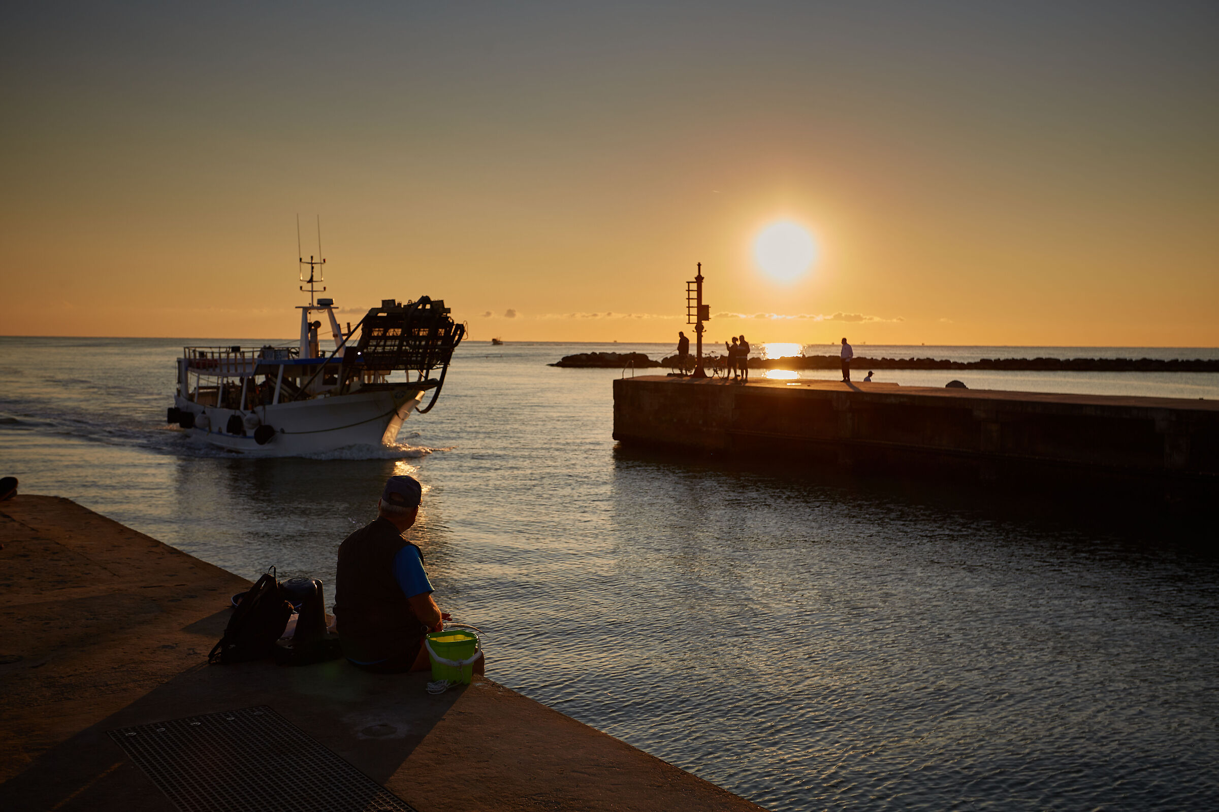 Bellaria (Bellaria)