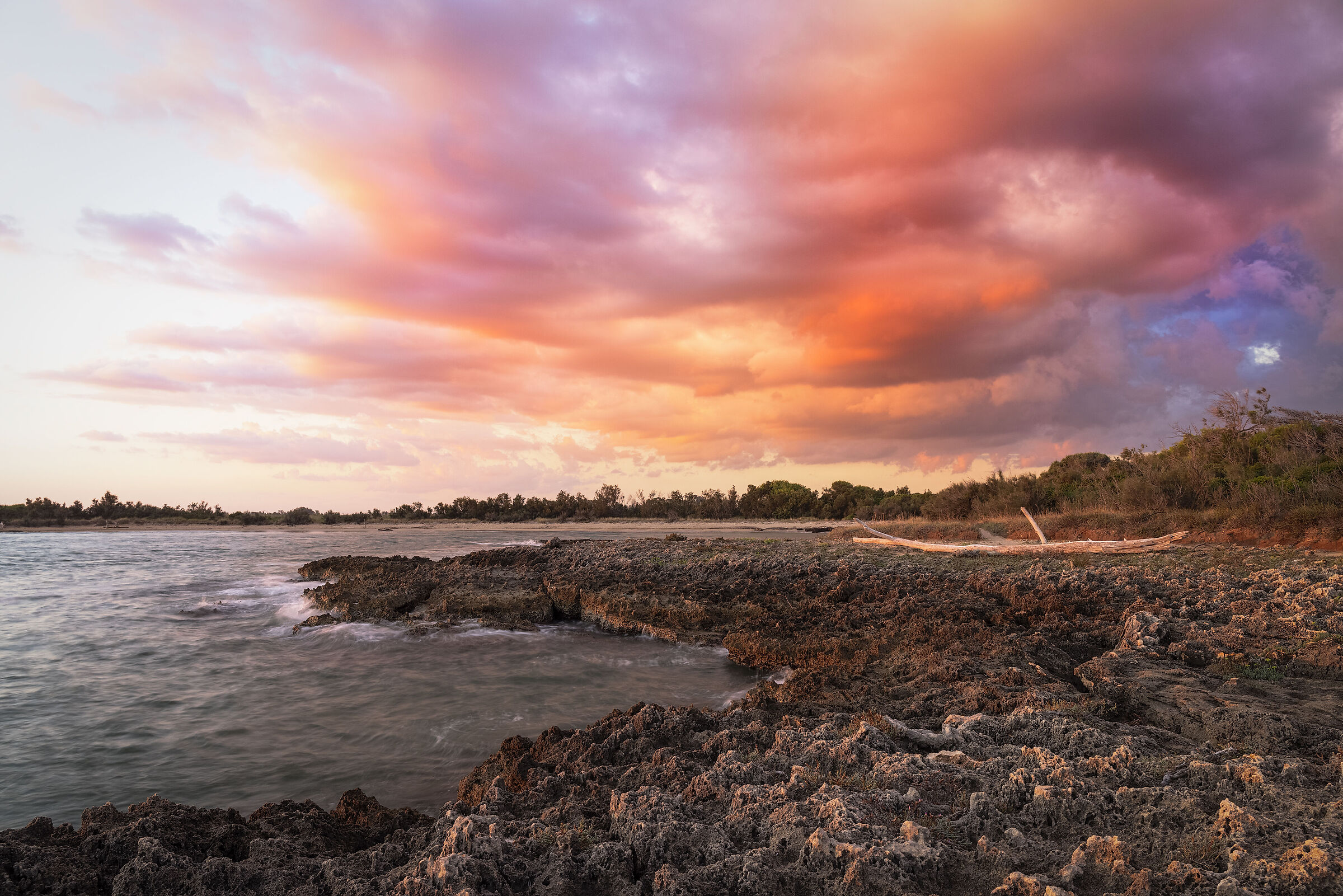 Reserve beach Torre Guaceto