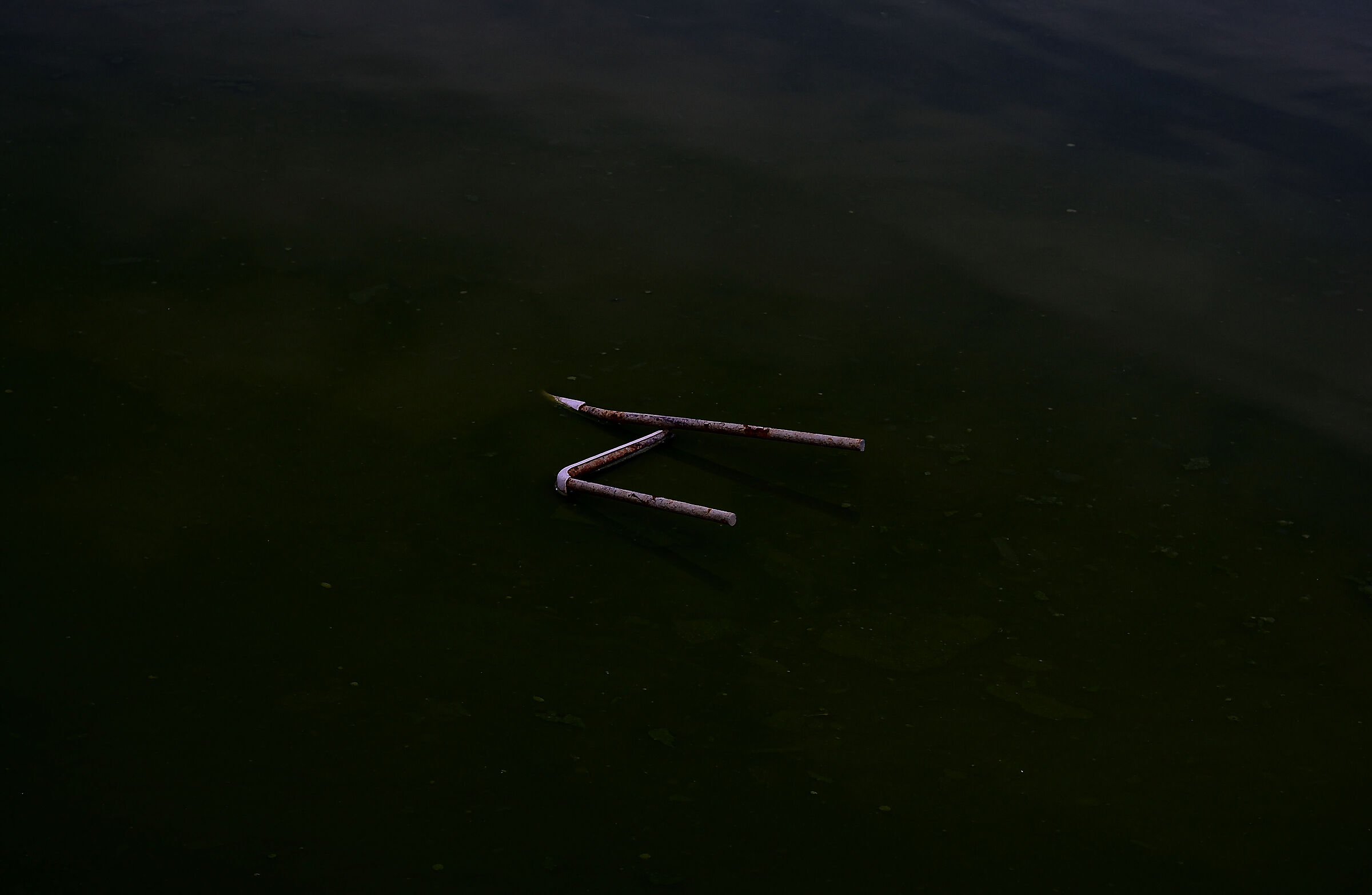 Untitled Photo