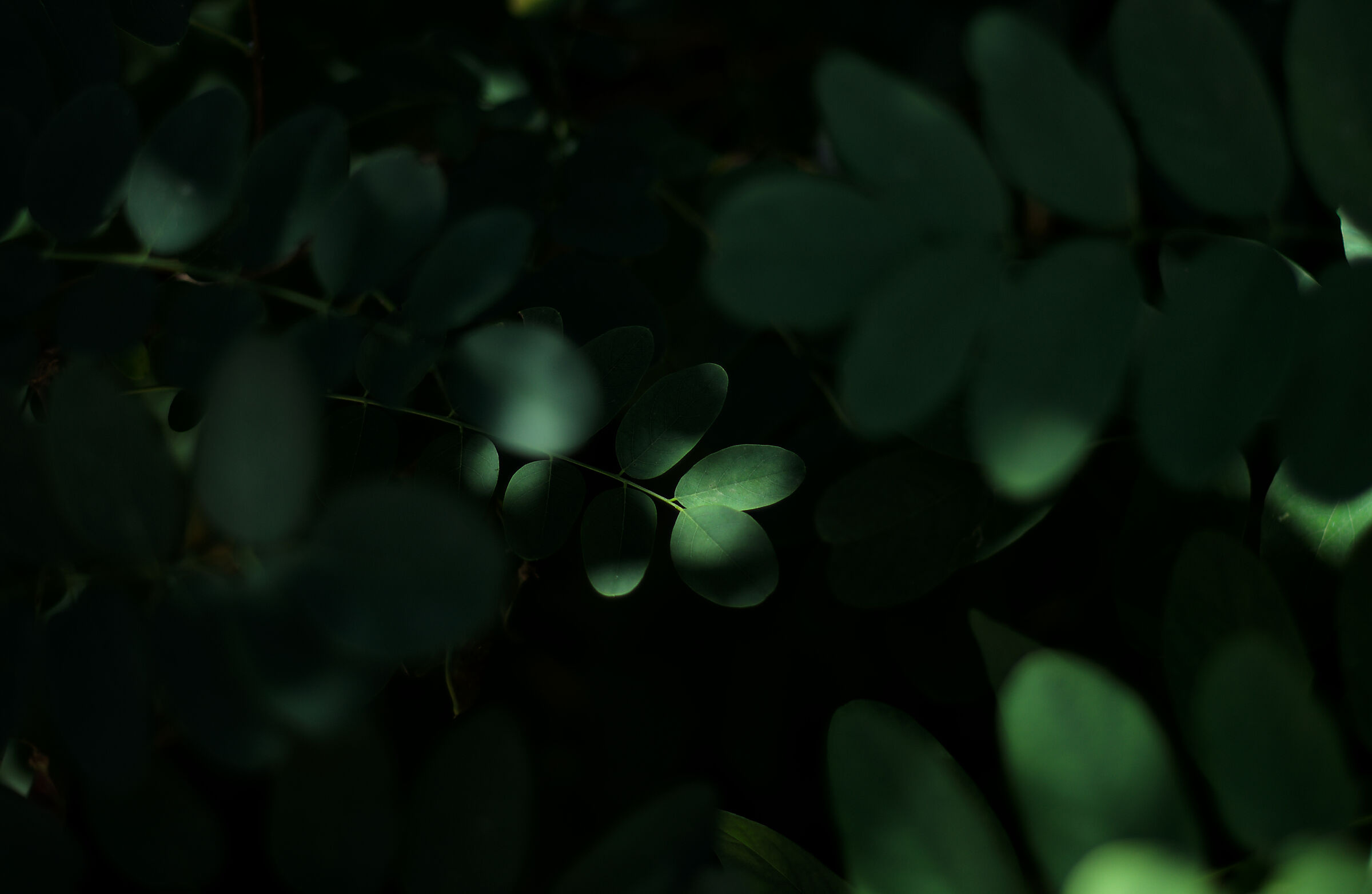 light