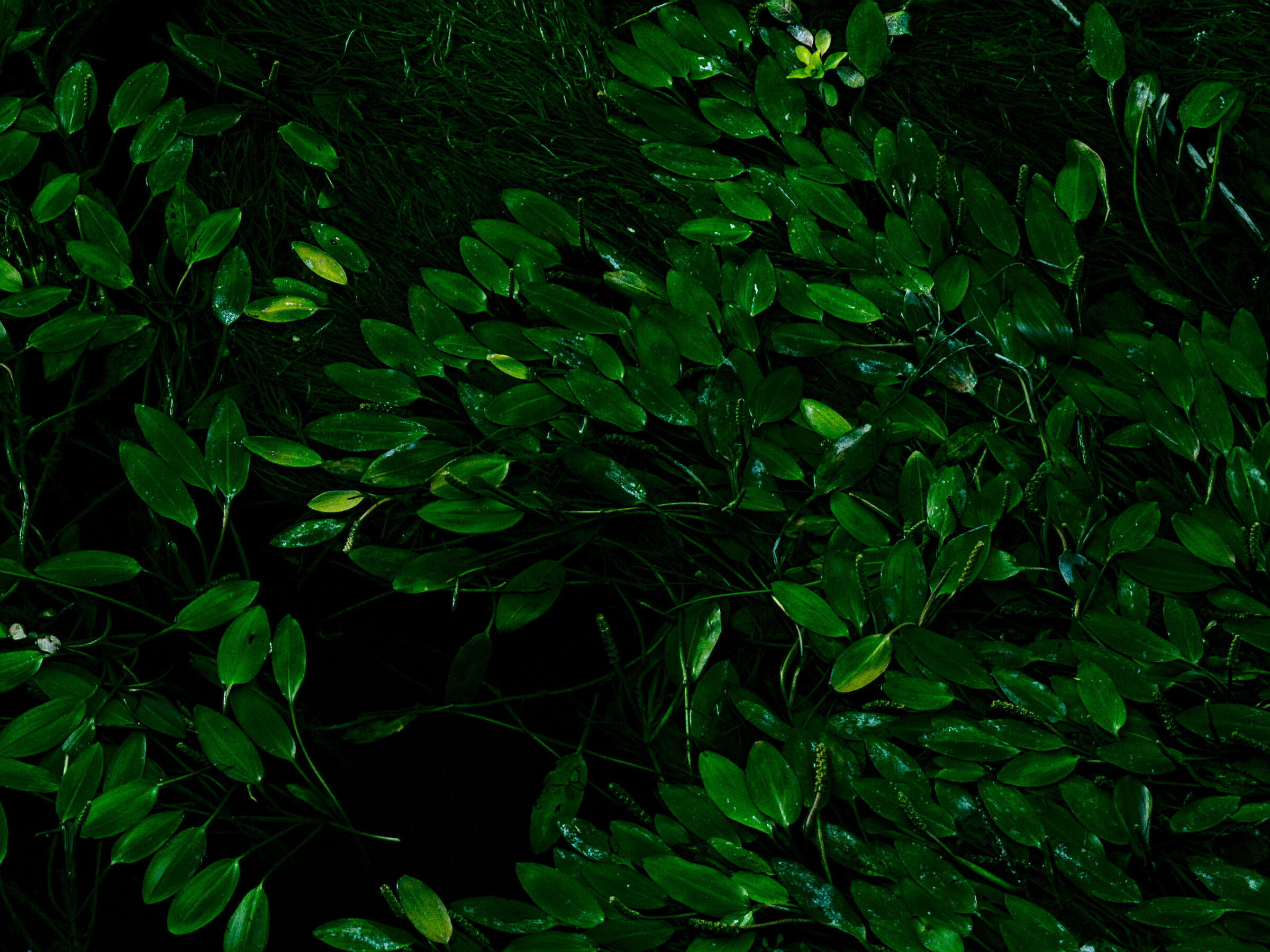 Untitled Photo
