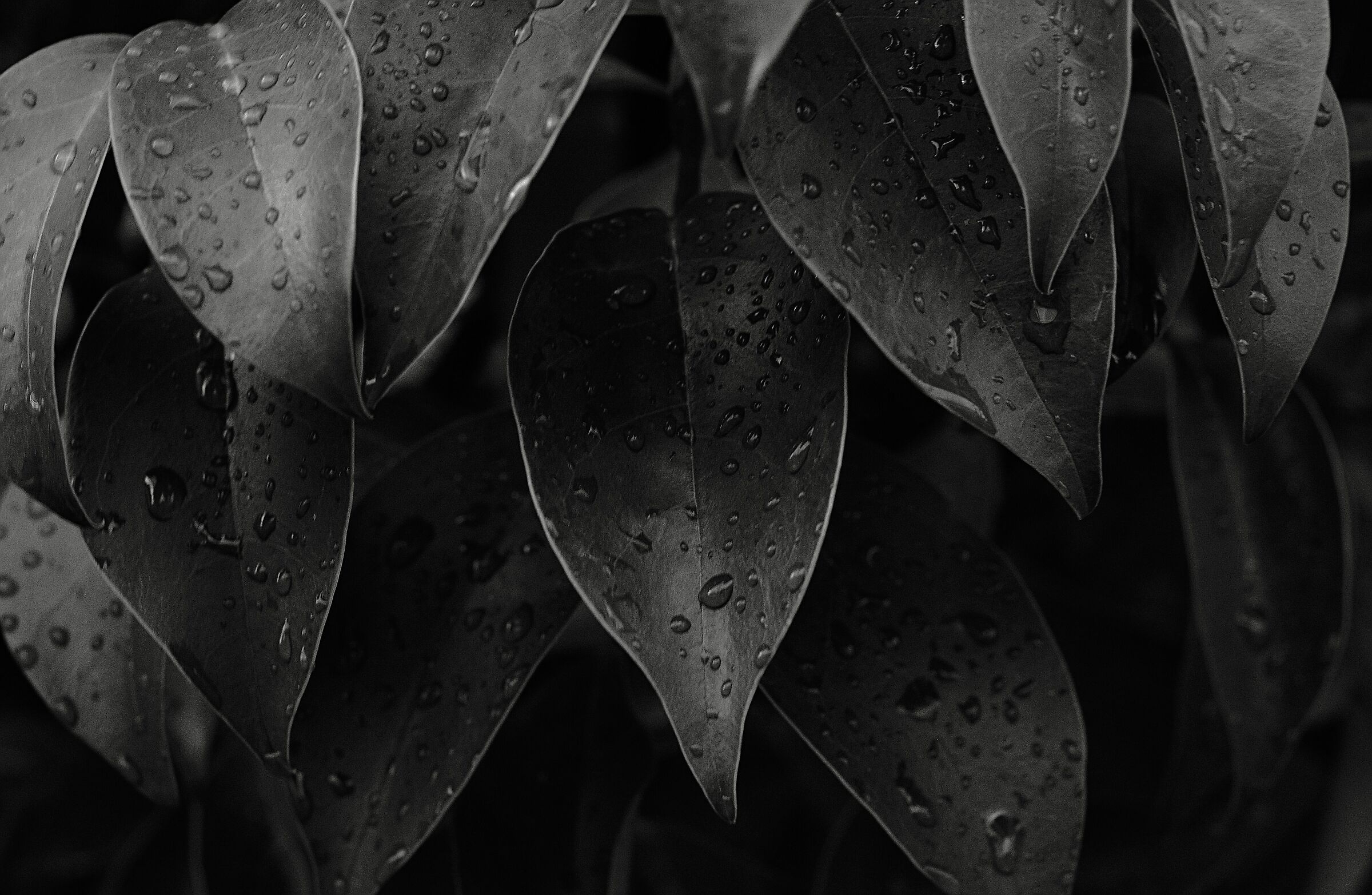 Untitled Photo
