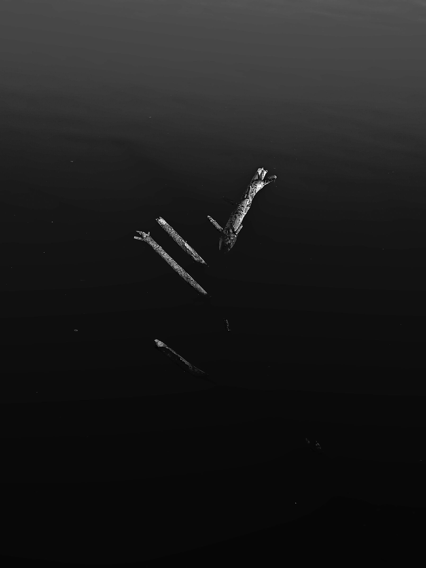 Untitled Photo