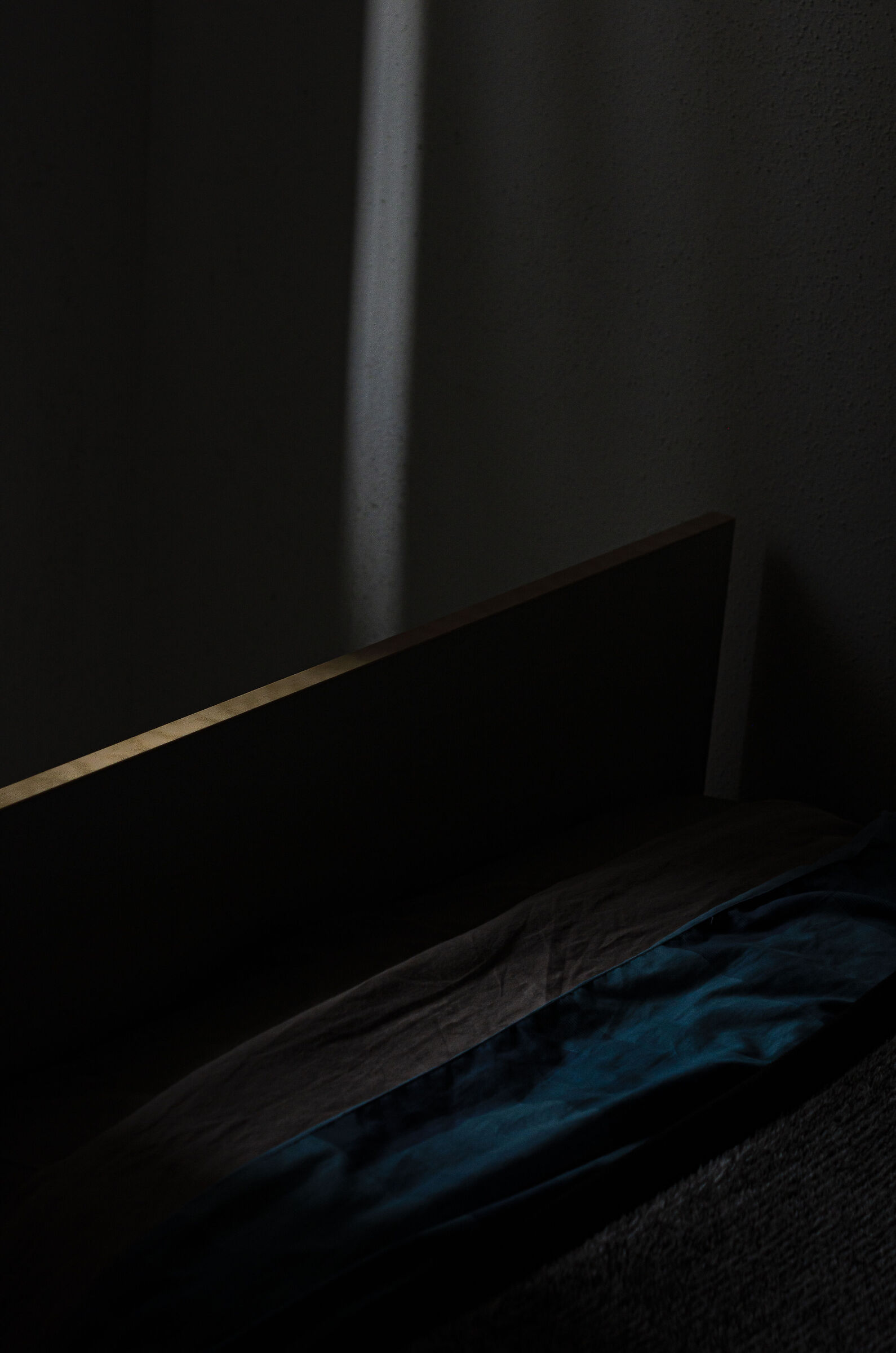 Untitled Photo