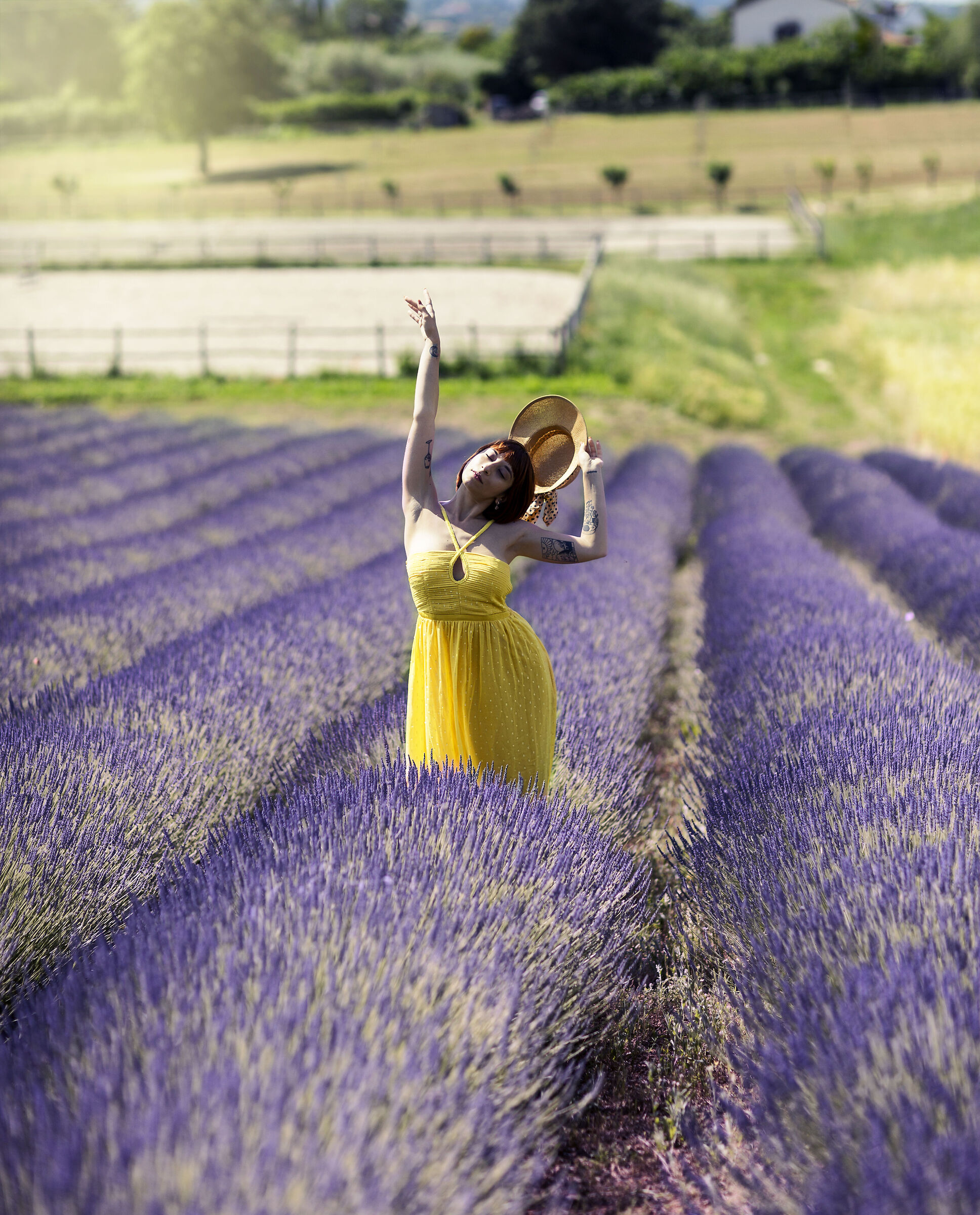 Color giallo.. lavanda