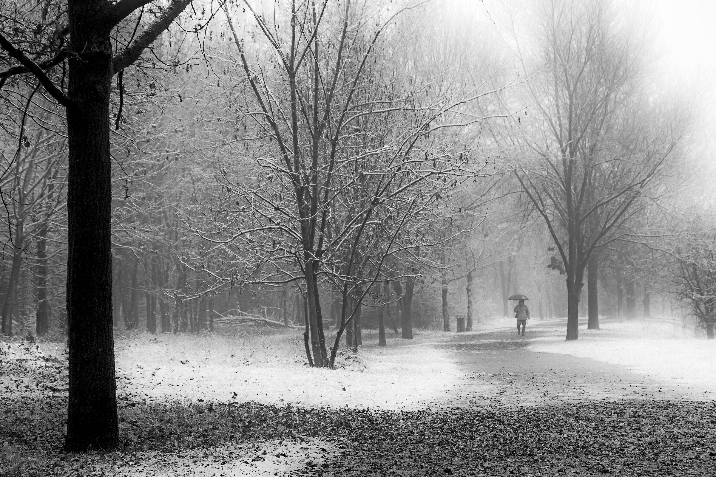 Silence