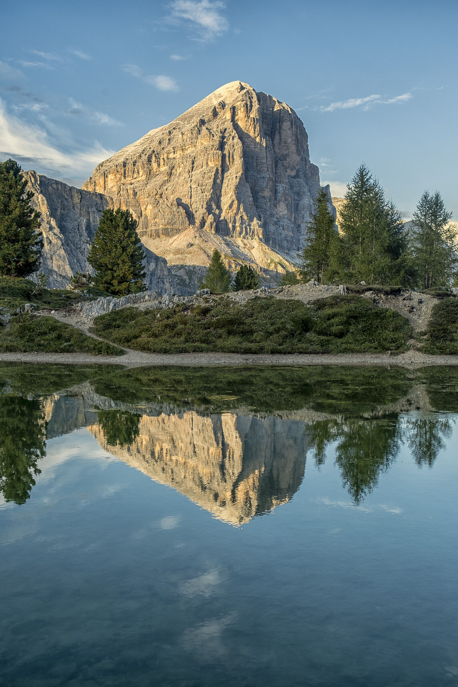 tofana in the mirror