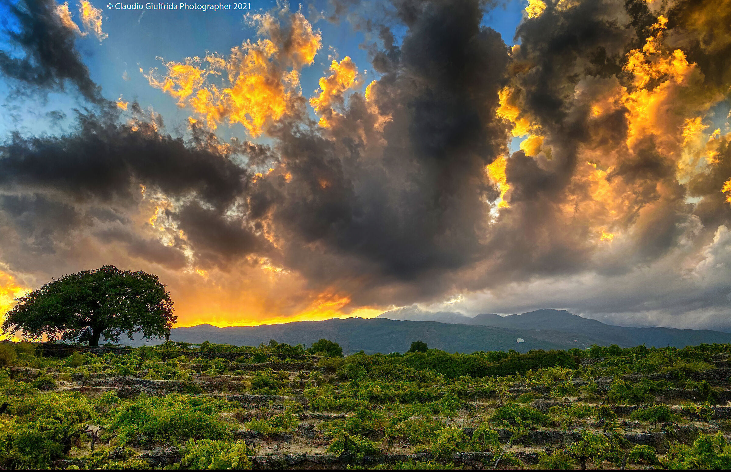 Cielo infuocato sul vigneto a Santa Venerina