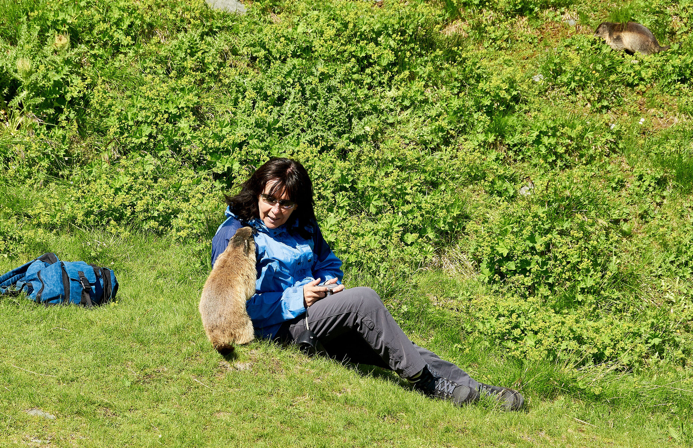 Hai qualcosa per me?