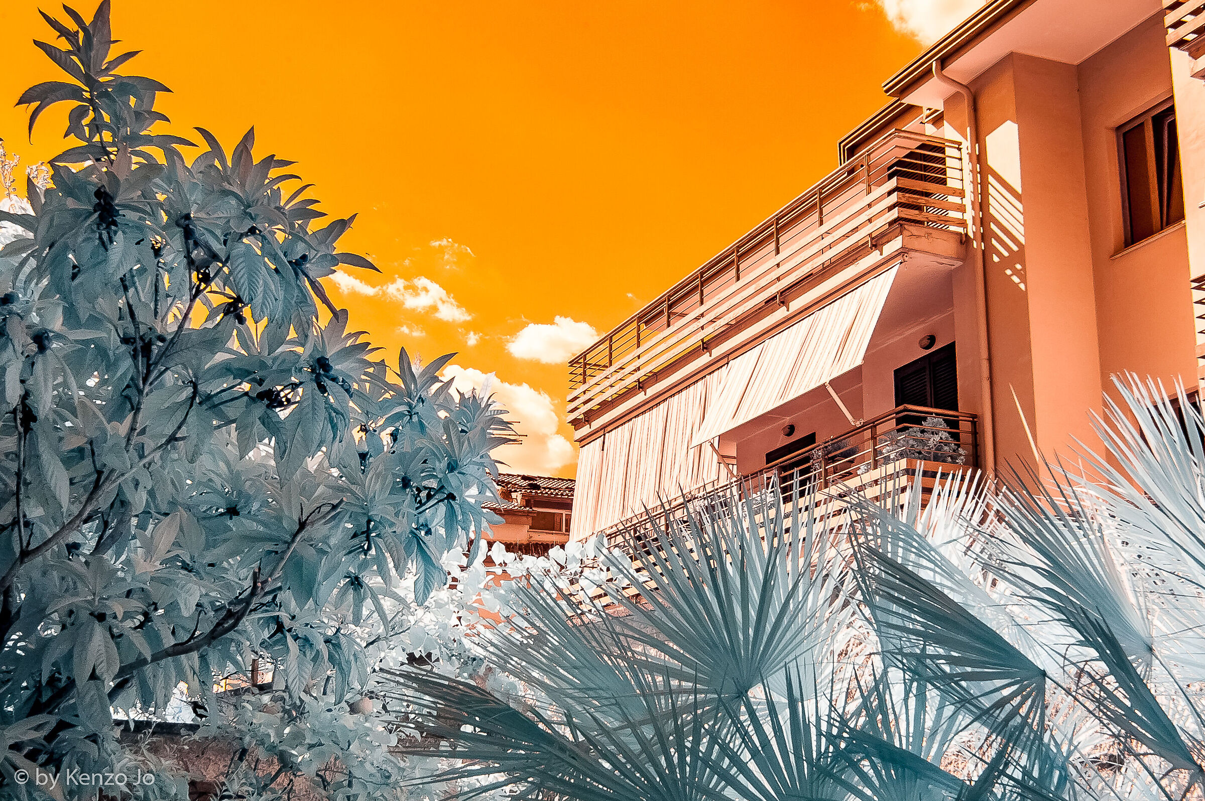 Infrared - first photo of my life