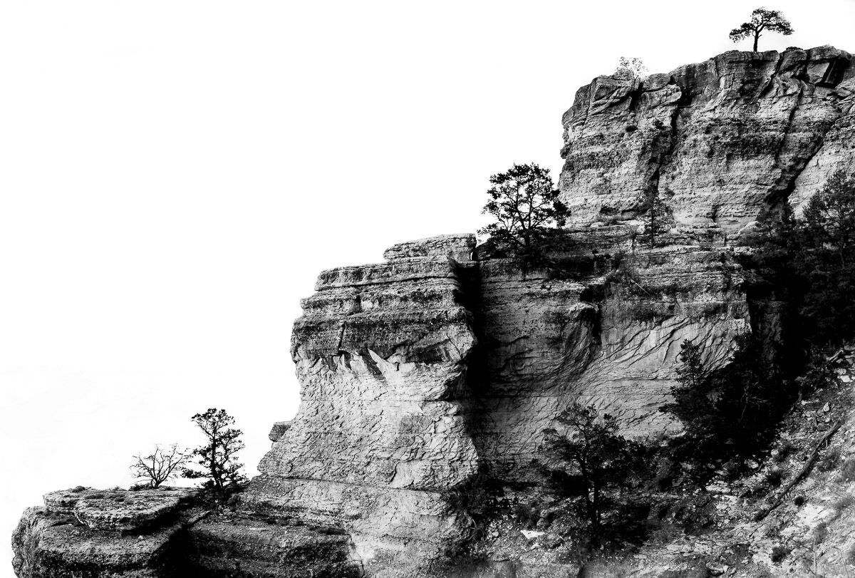 Selezione naturale...